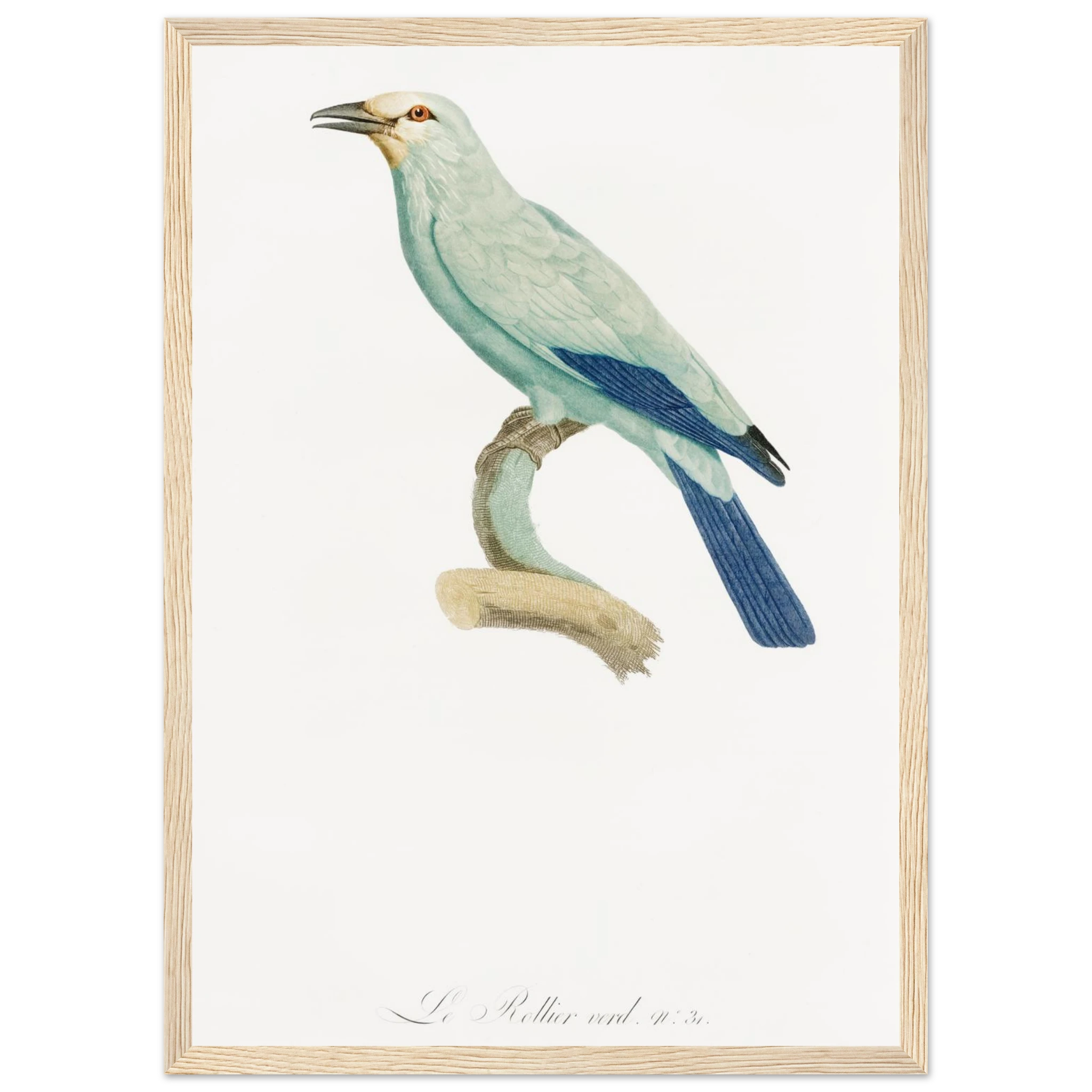 0a6fff5c-4991-4bda-8156-6d29d7ea4c92