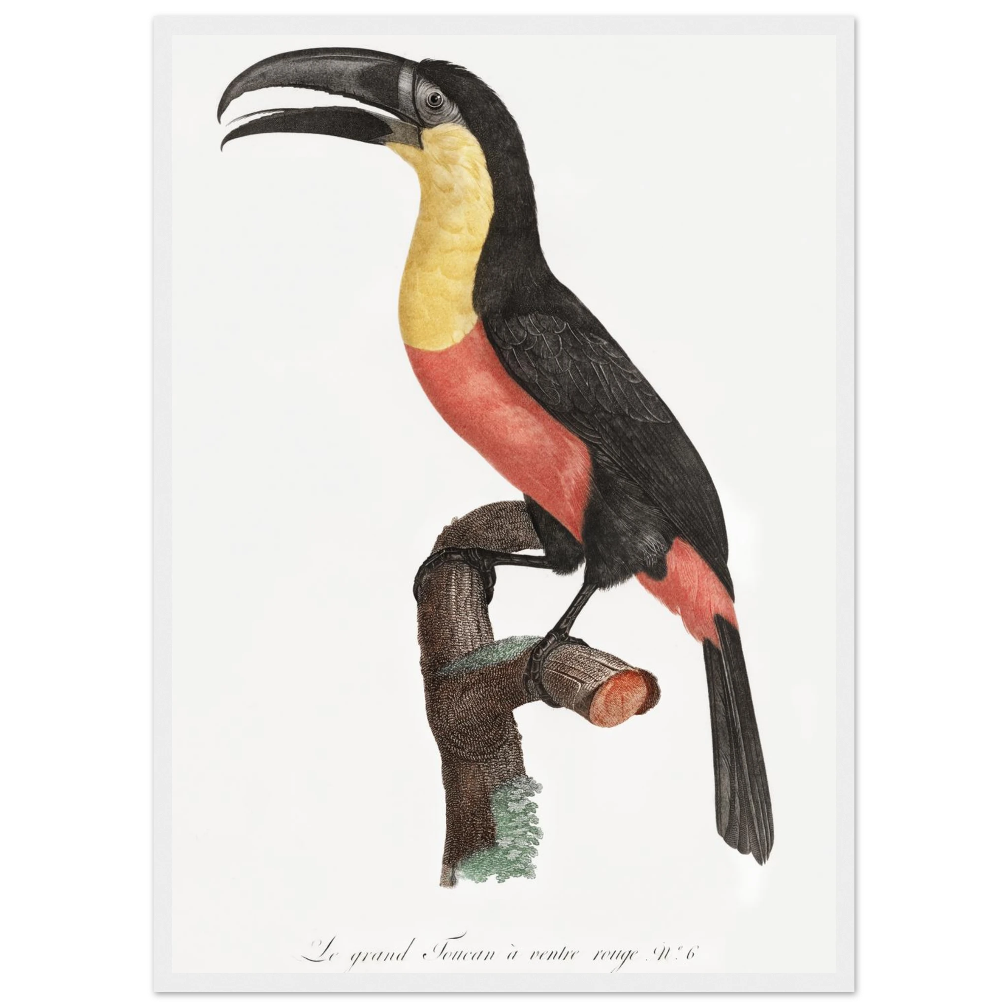 0a857394-625a-44e5-a698-51e34aa6cbb8