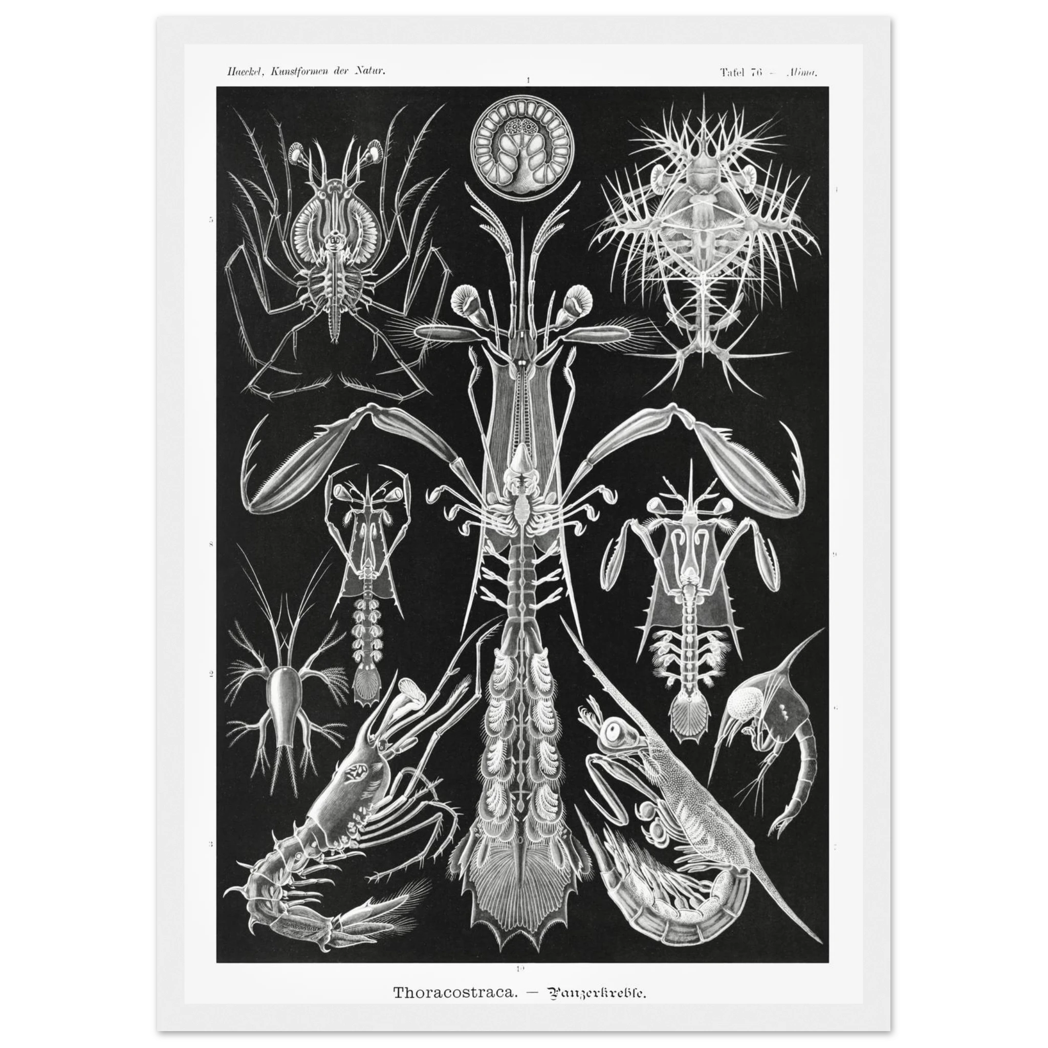 0a883530-7733-49da-911e-1780b6480b84