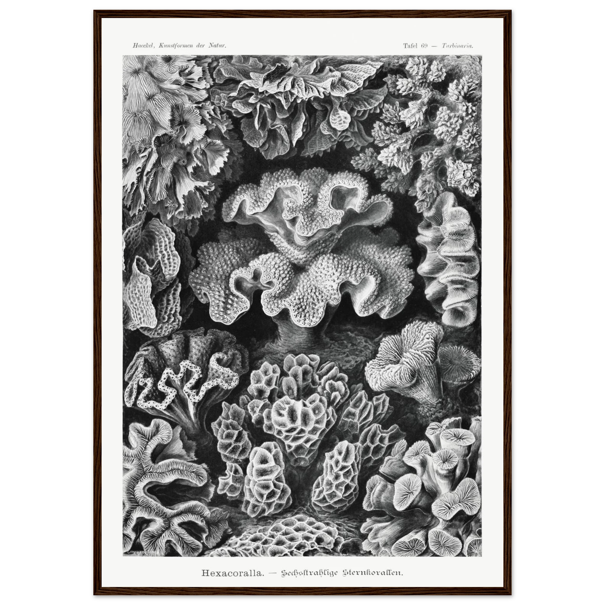 0abb96ac-38b3-4d35-8329-6aec64fe3f2c