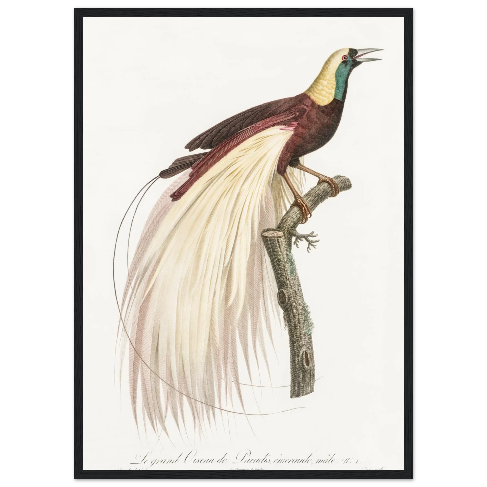 0abfbc90-c0b2-425b-ad19-66b95a93a5cc