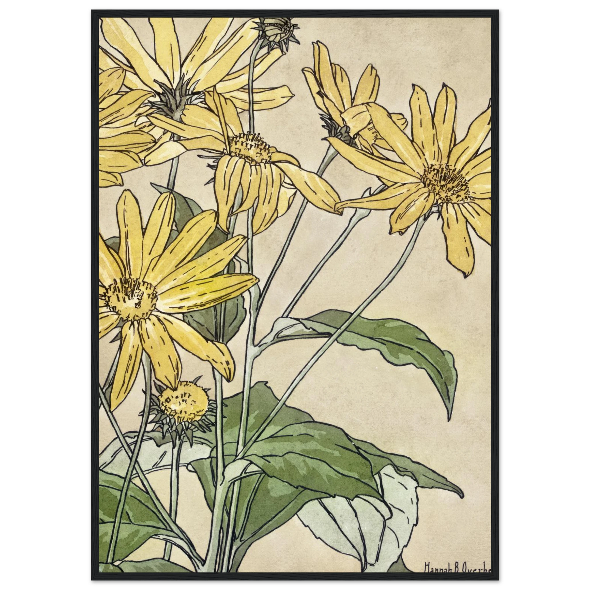 0ae43fcb-44f7-440c-b50d-cf2ff4fff8d8