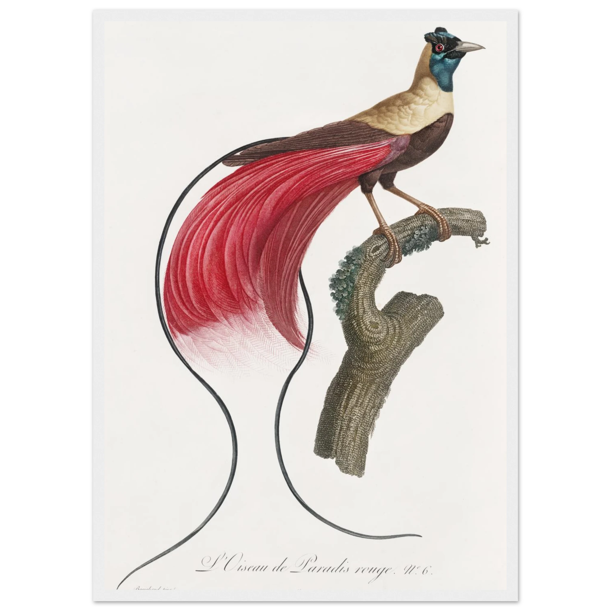 0bb355cb-778e-4581-a190-dc55c7fd1370