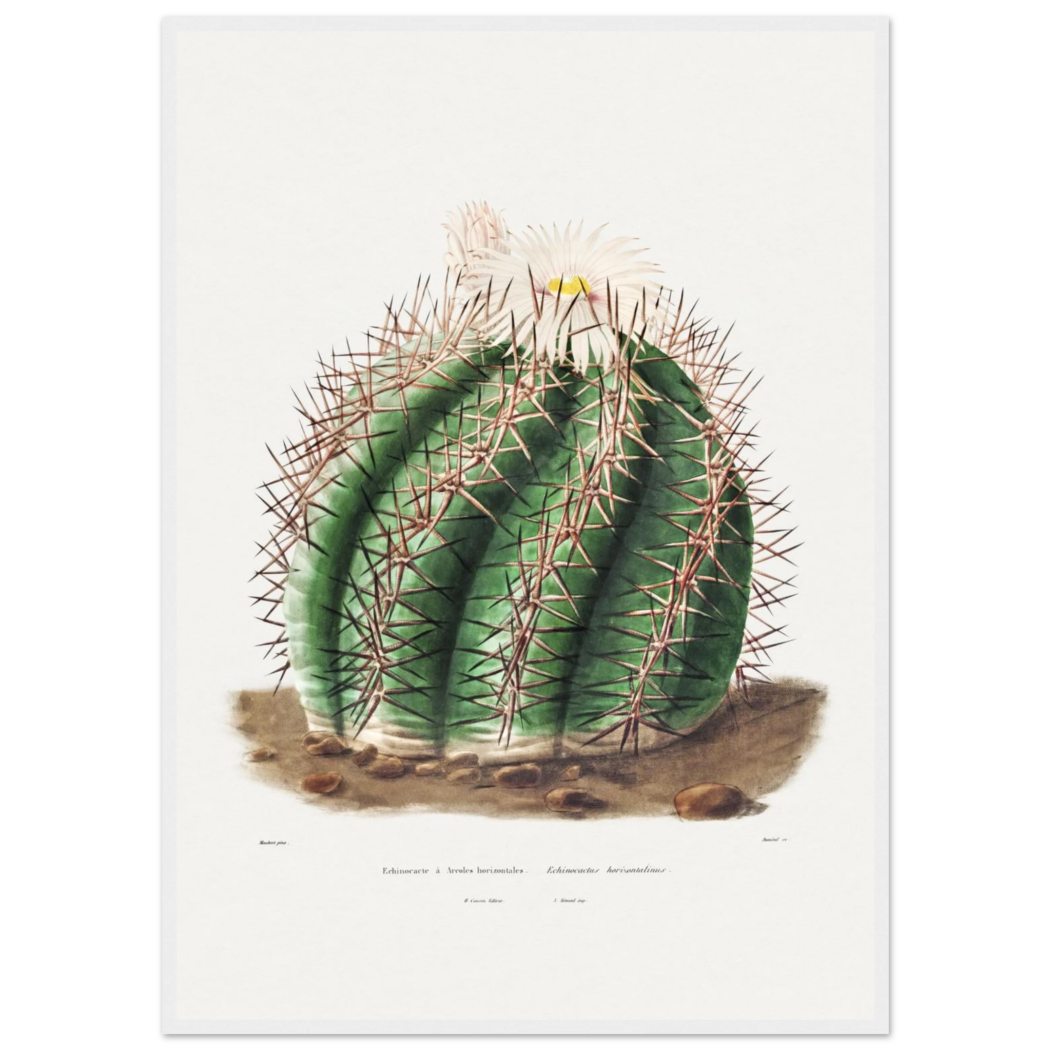 0bc77ba3-49cf-46d9-b3ce-17adf25c8b0f