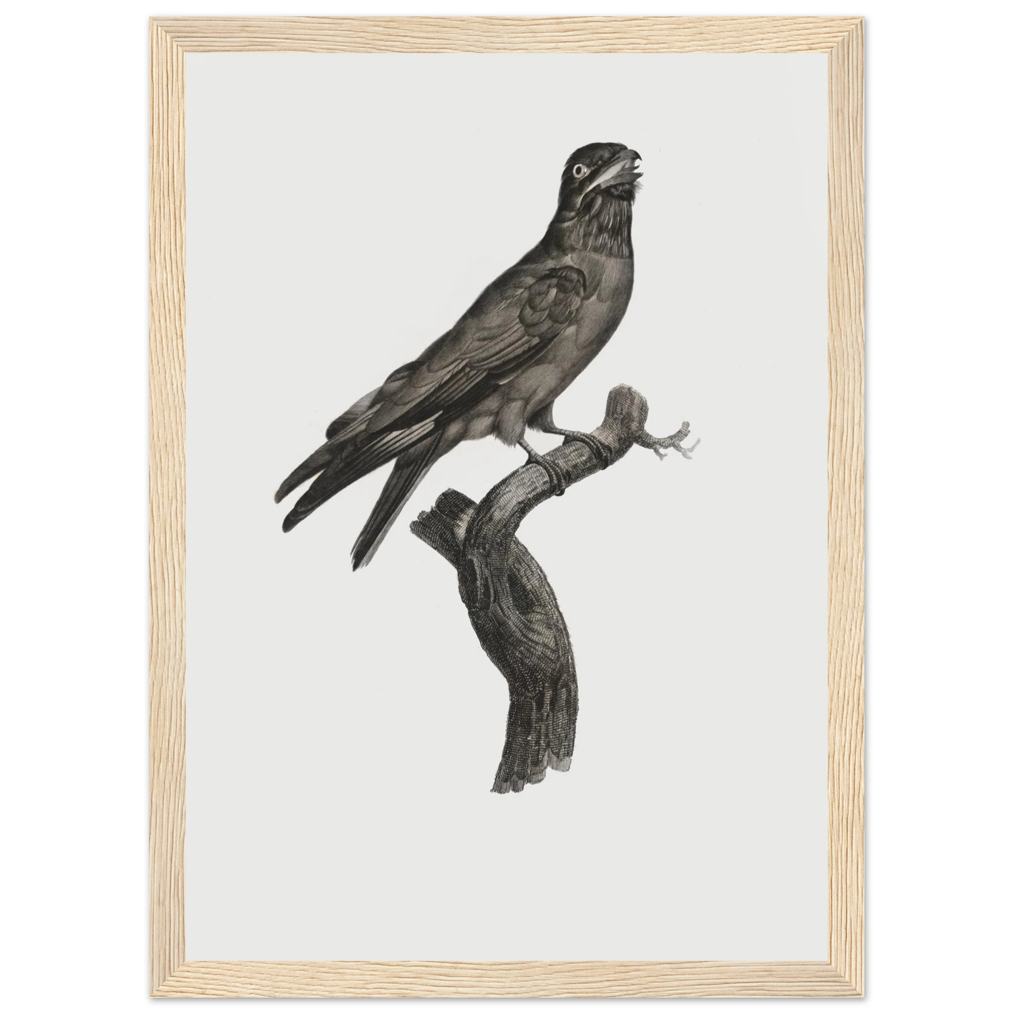 0c2aa554-2731-4567-b62d-3e8284ad5674