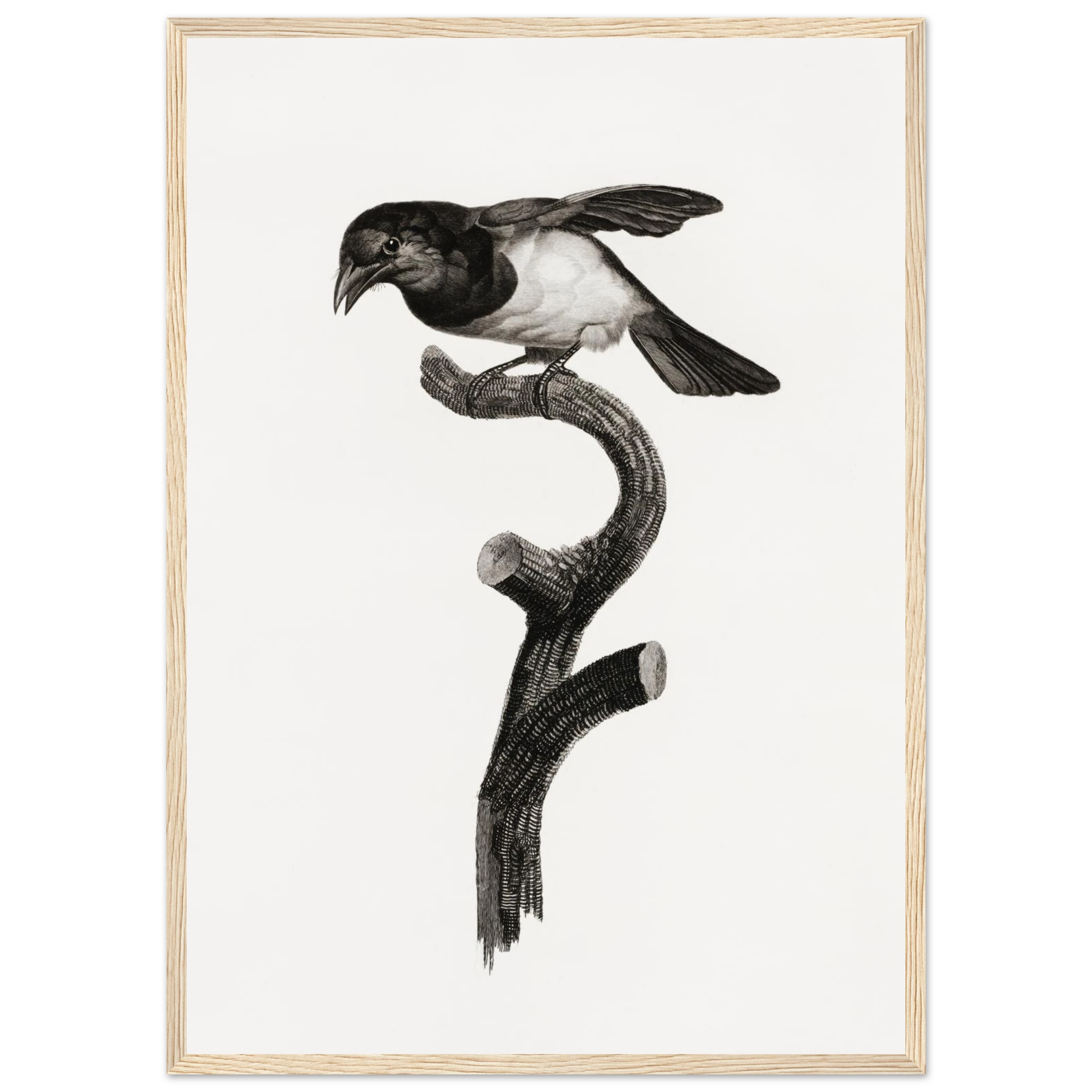 0c40290a-3690-4c0e-819d-8284a31ee048