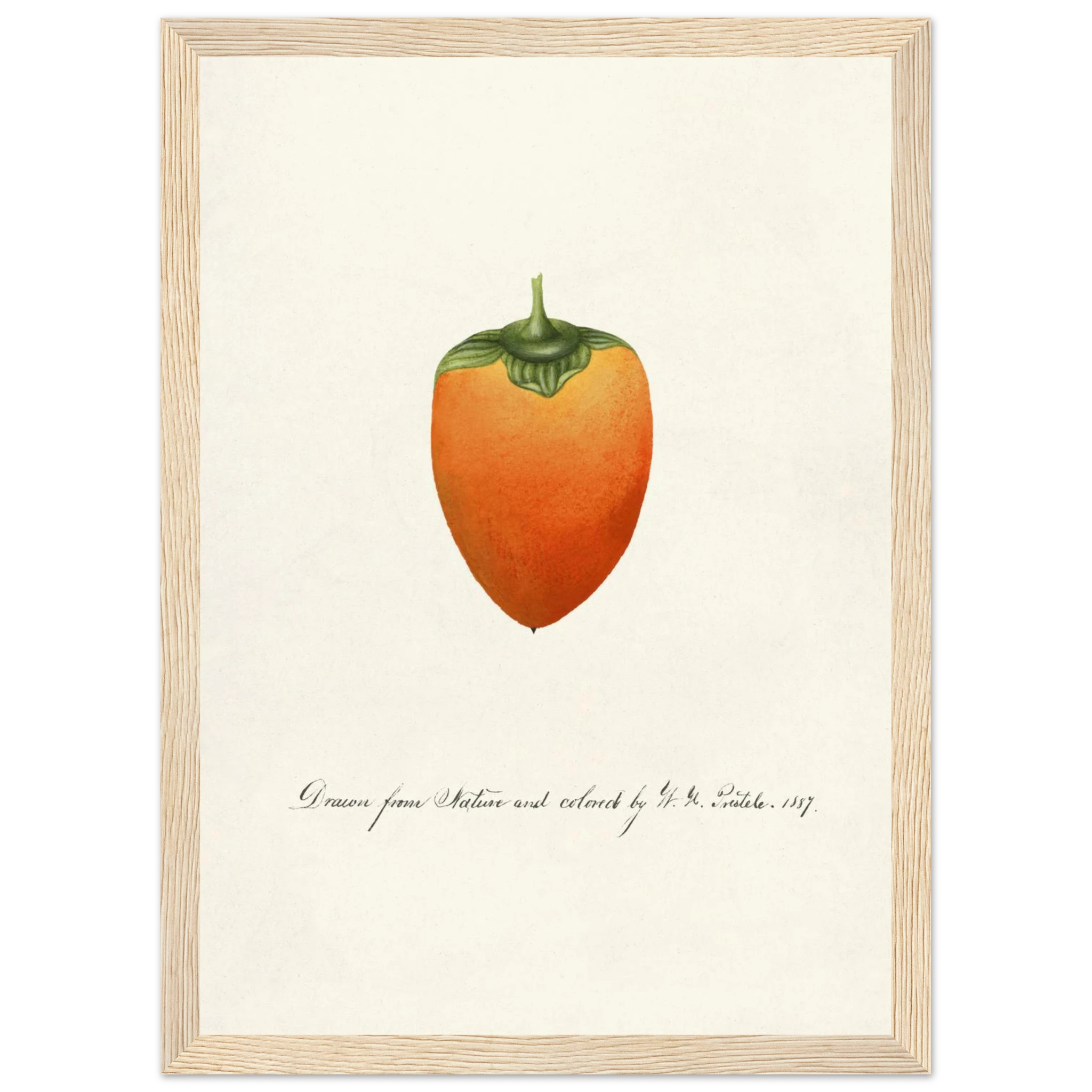 0c7aaebe-c636-4bee-965c-fac2bf2b19e1