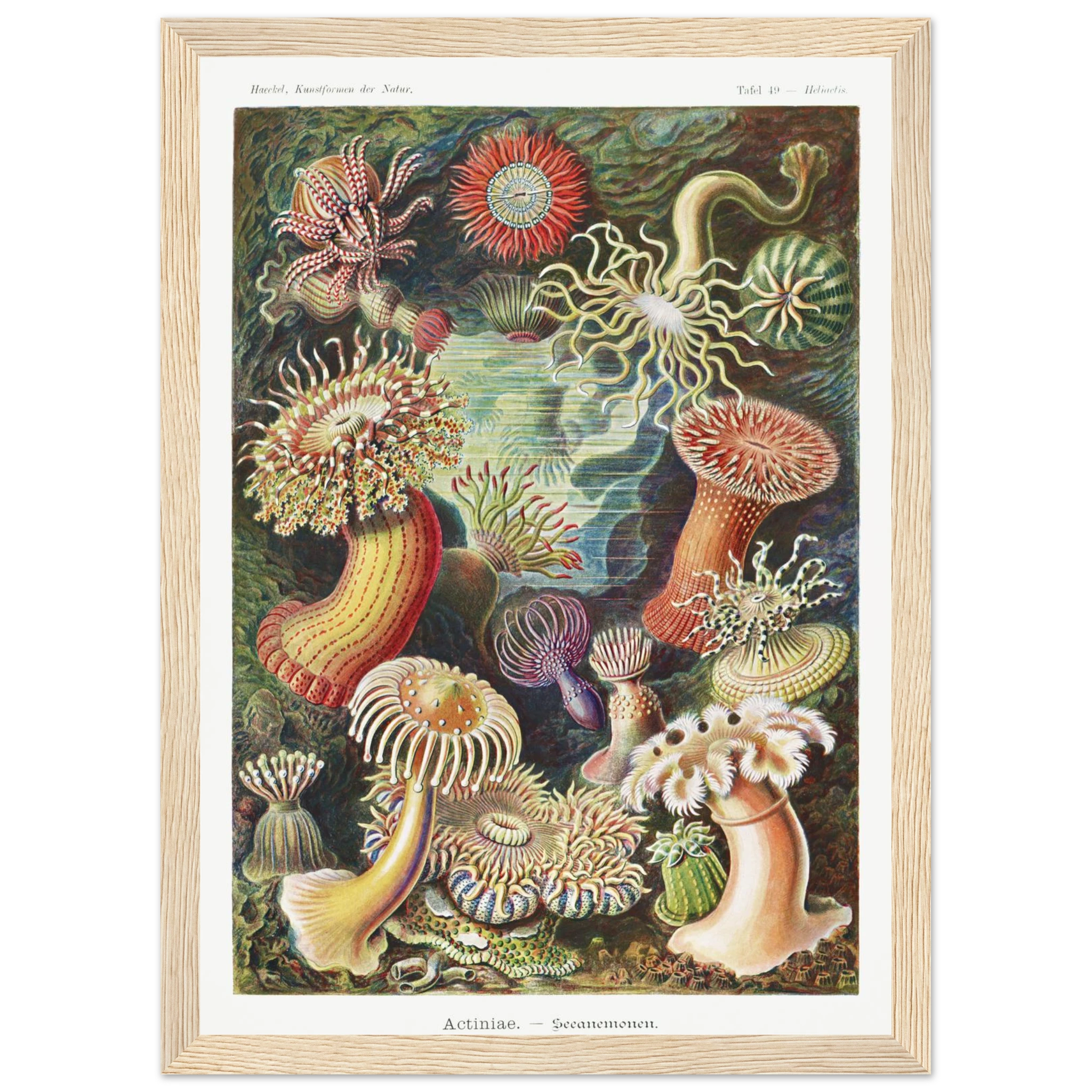 0ced1cf3-651b-4dcf-993c-a845f1196beb