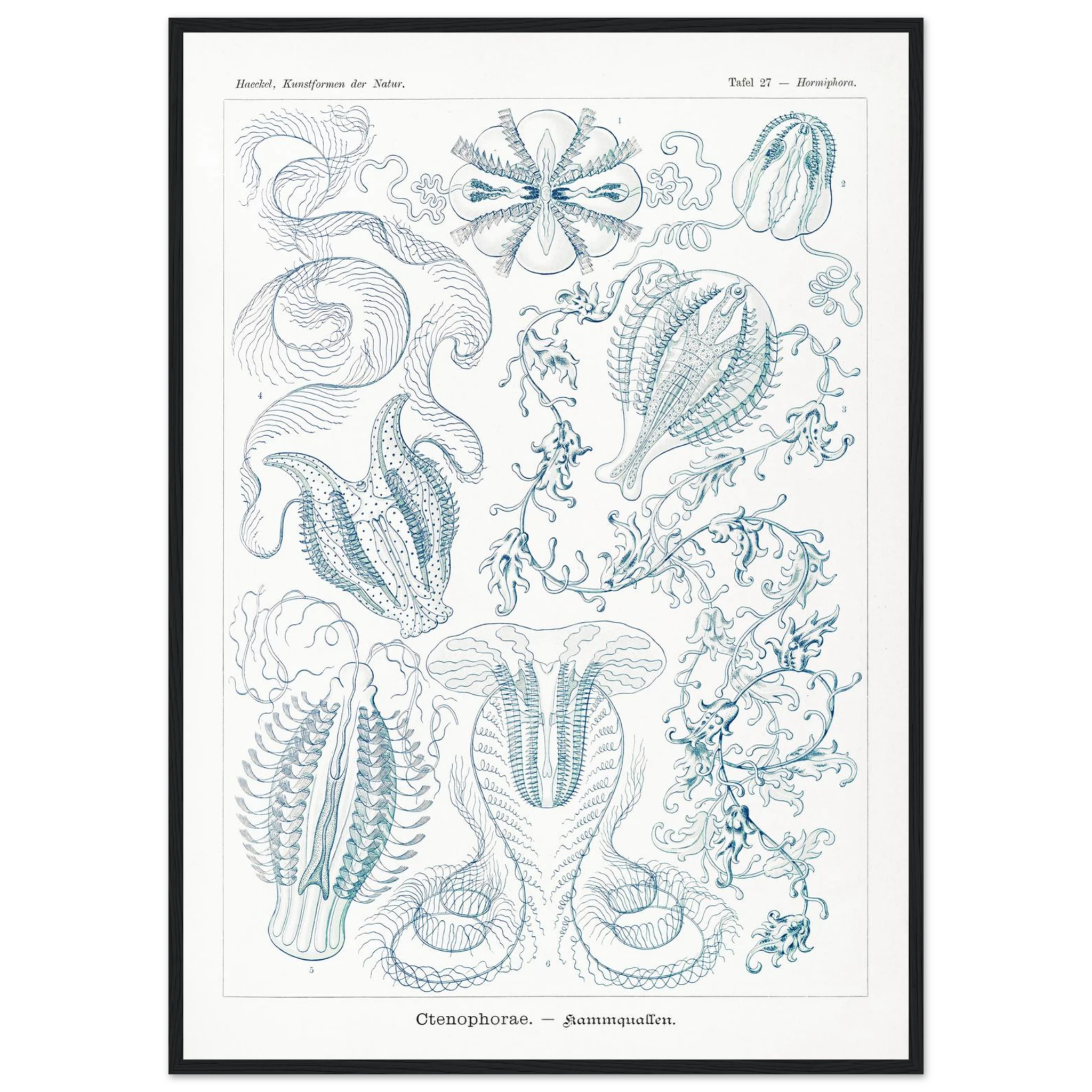 0d0d0ed7-1612-4bec-a241-3f0bd4588e30