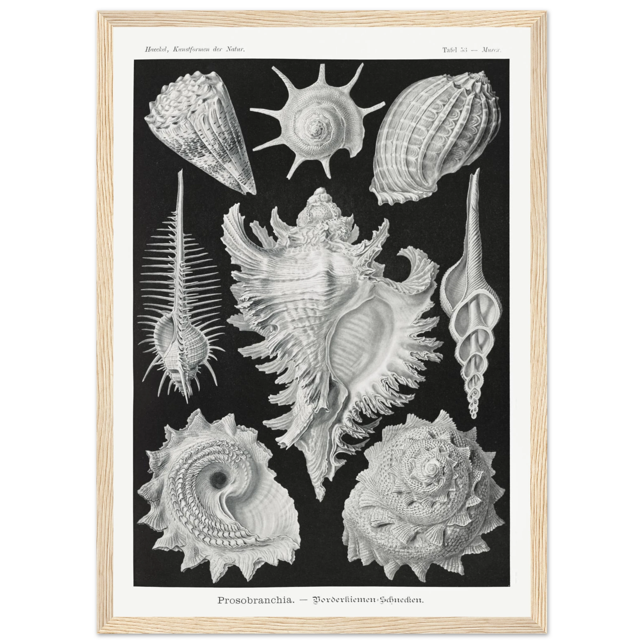 0d8a6631-edb7-45be-ad58-9be35206a5d0