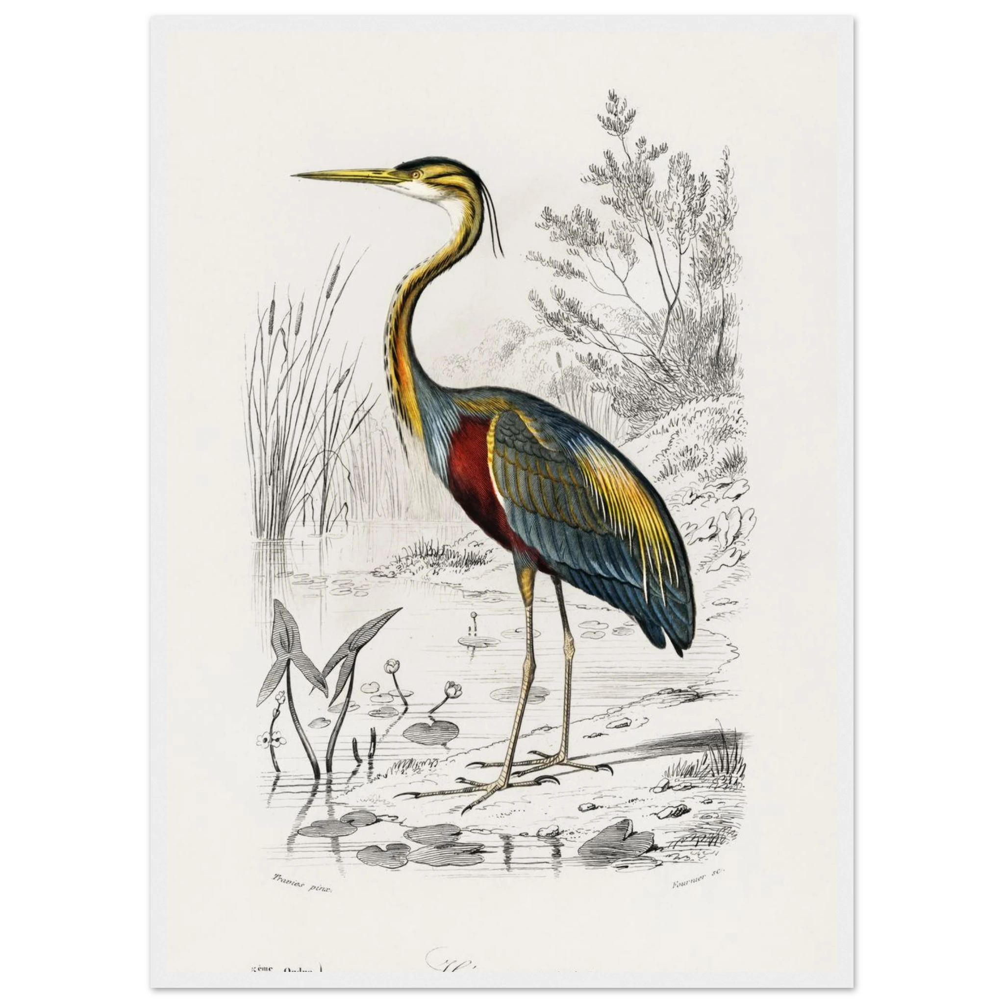 0da6b9c8-655d-449f-b457-b67a5e750572