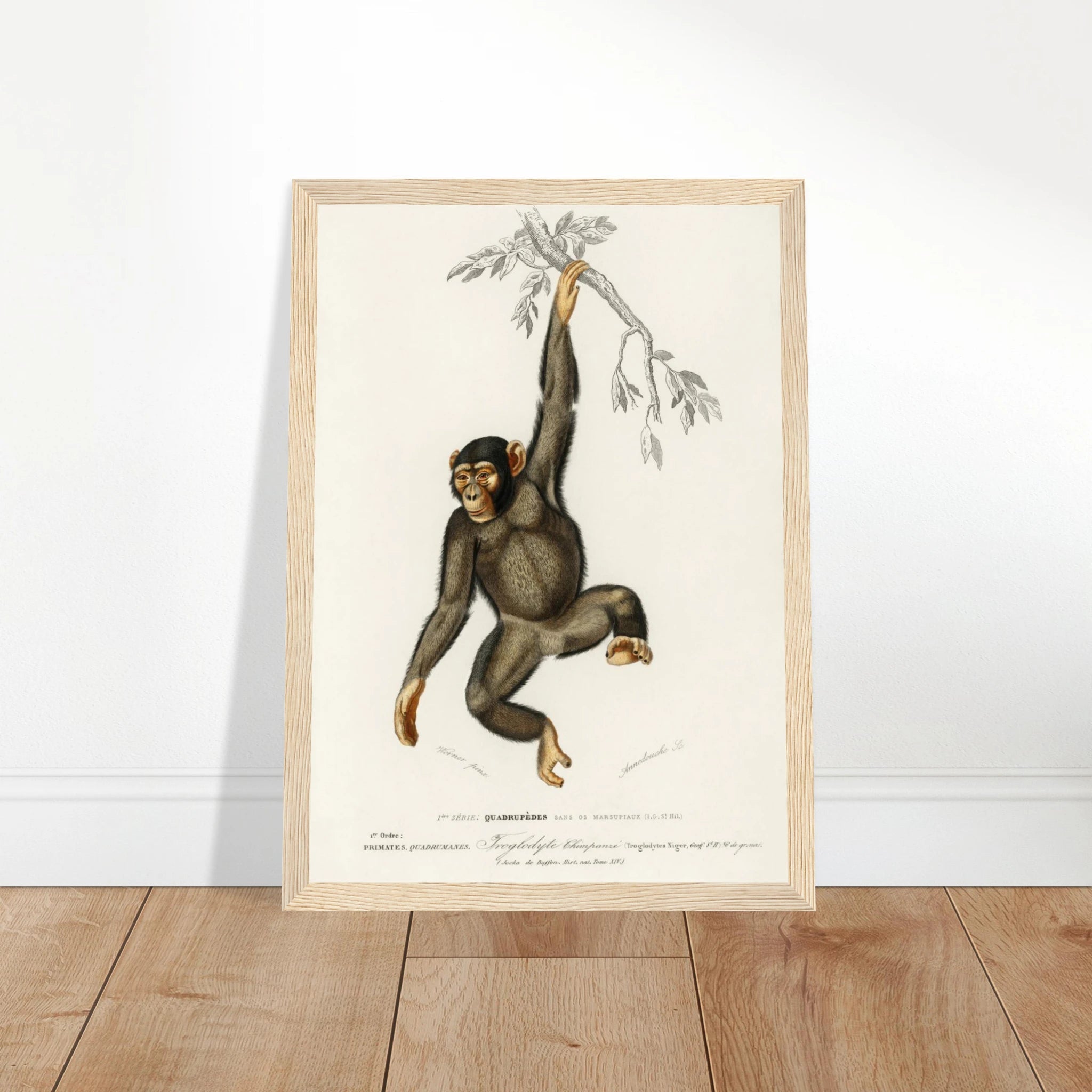 0de88551-c790-4dbb-b6ed-21c8d72f7fad