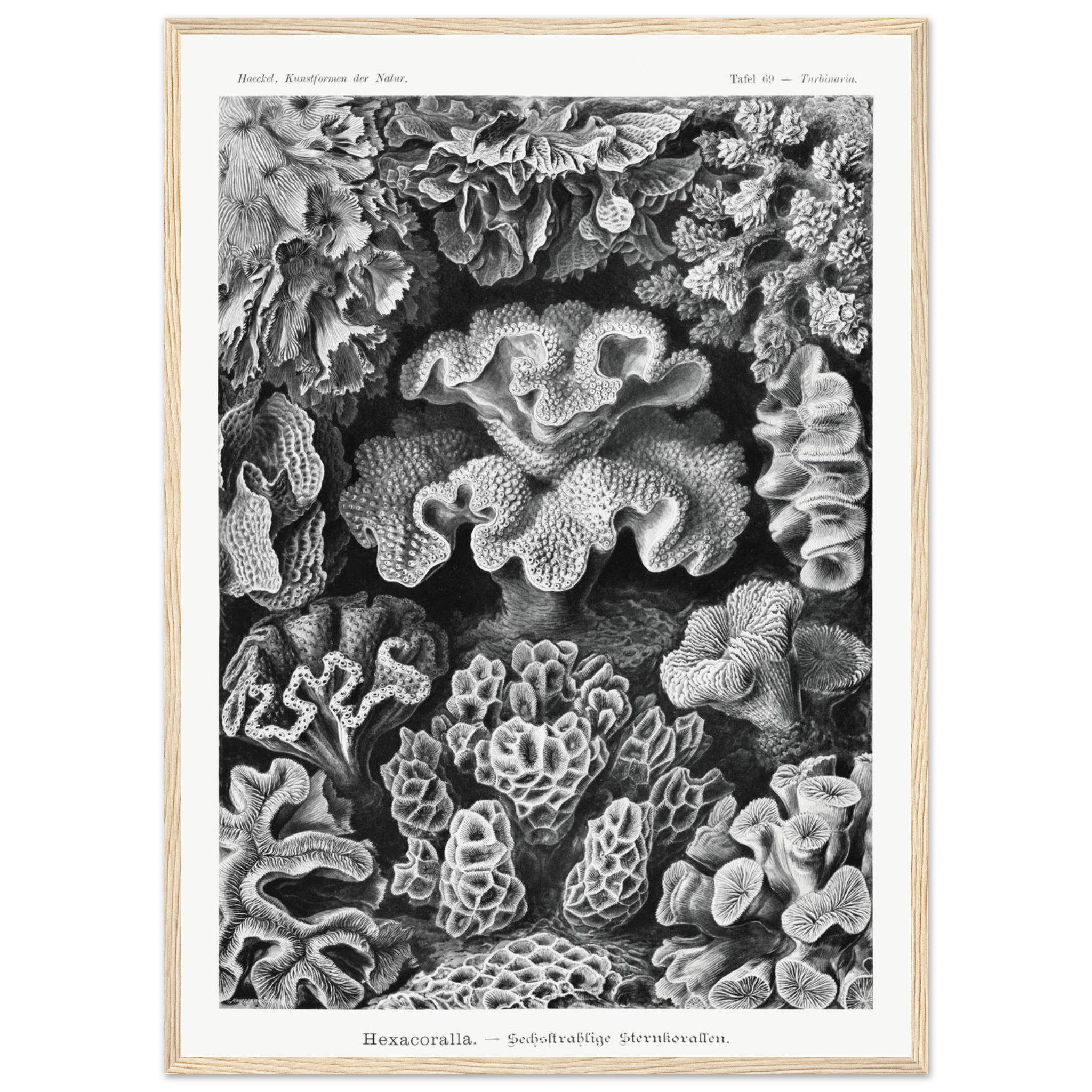 0e725c12-599c-497f-8366-24eaec4742ac