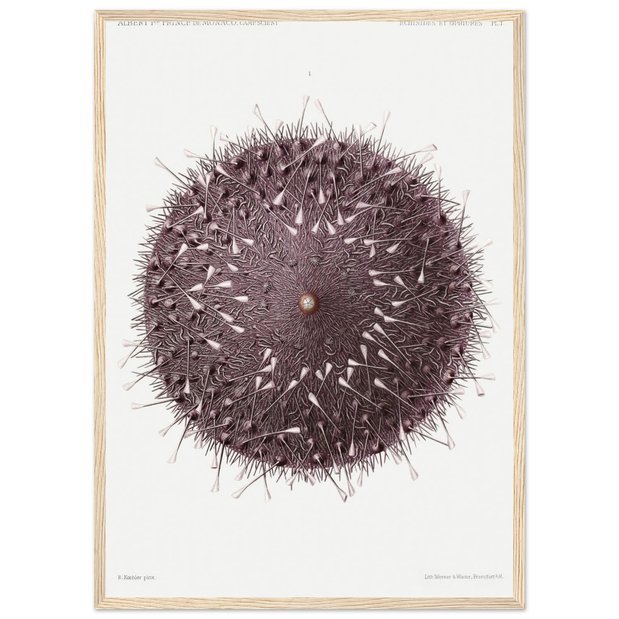 0e895bc1-9678-496d-b737-79fe7102cb57