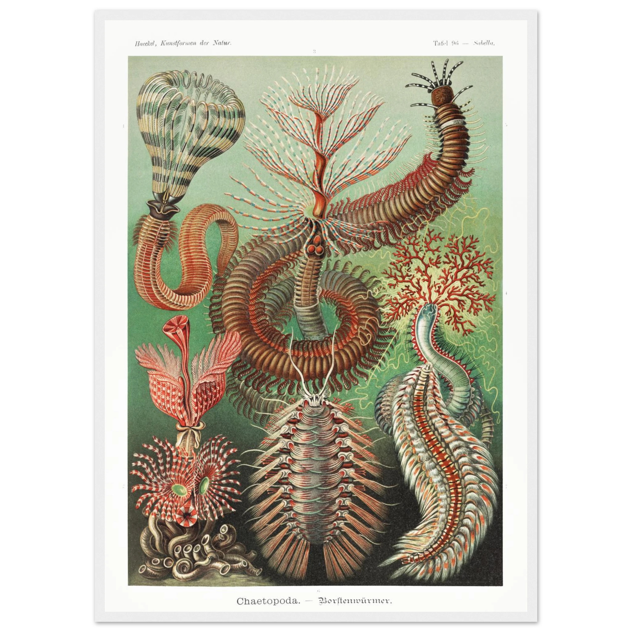 0e8a171a-0eb4-4a77-9b77-c3ba1cad3a4b