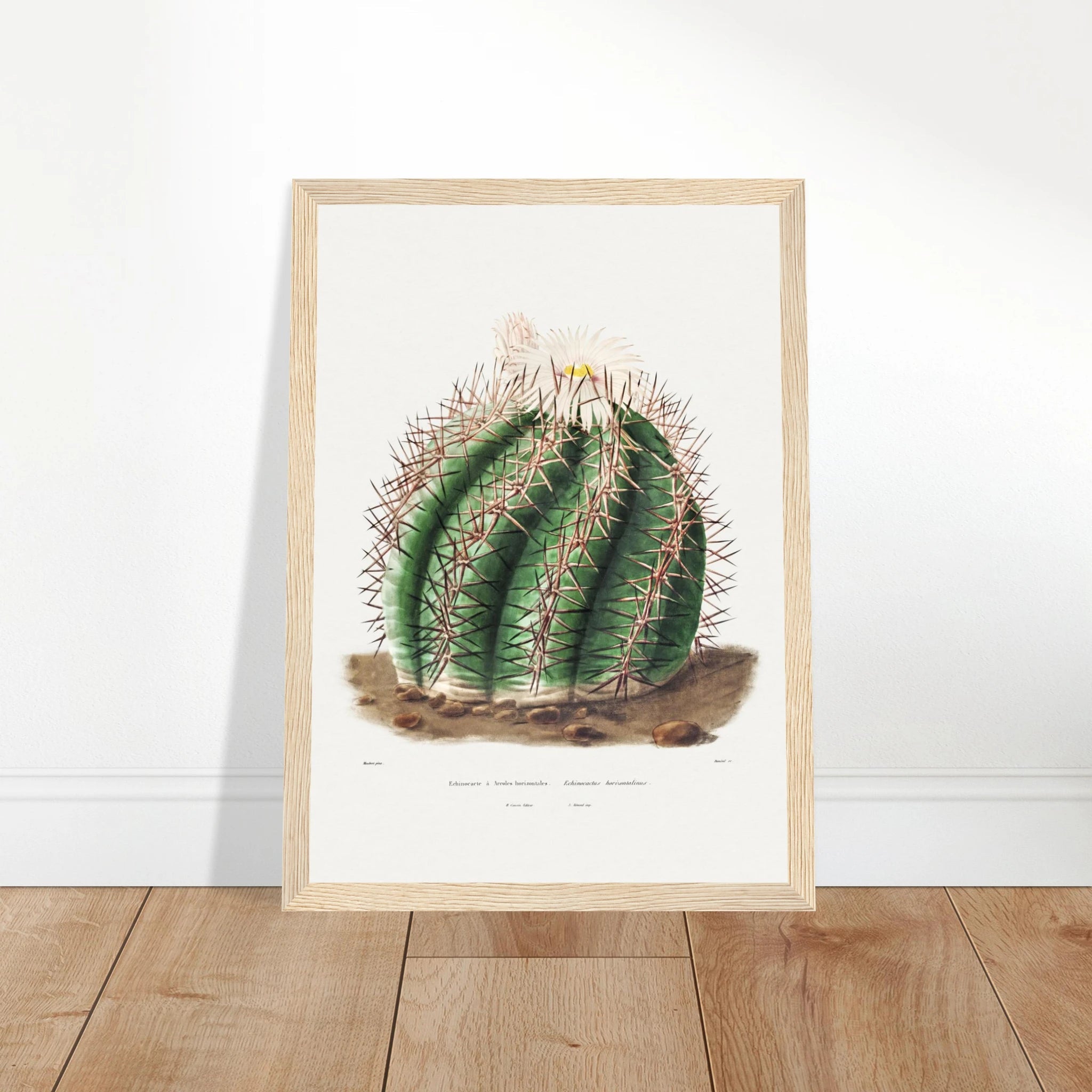 0e99a7da-3ce3-4faa-b272-17e93229eee0