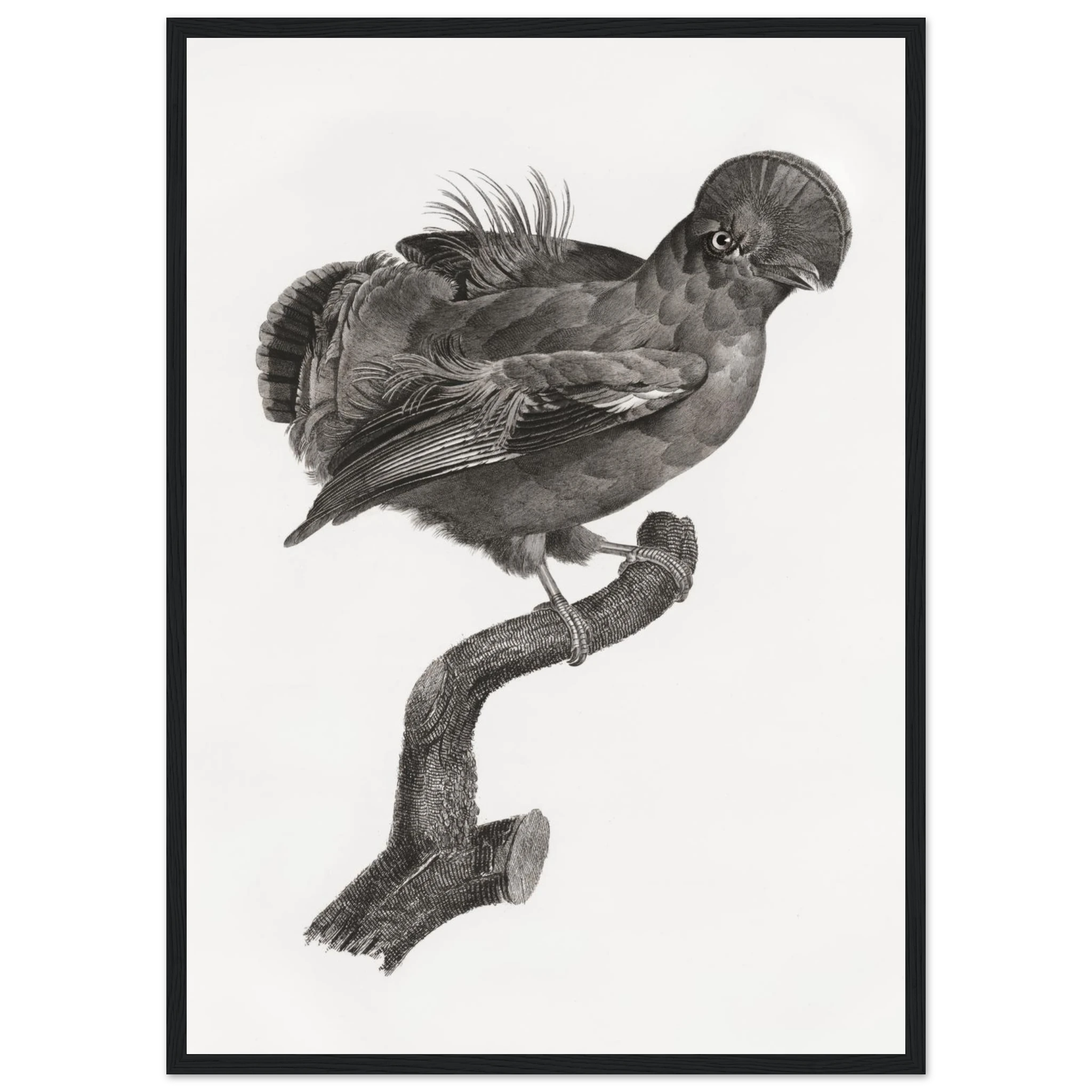 0e9bf415-c11b-4002-827c-3632f262620a