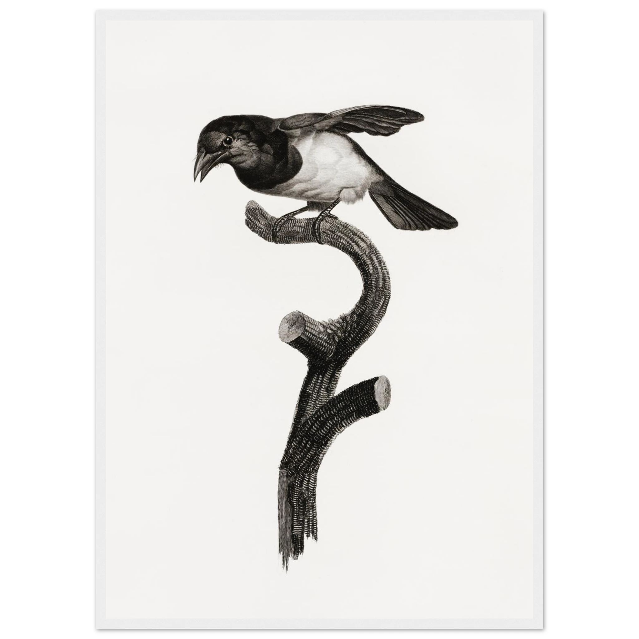 0ebcea92-2cca-46d8-a17a-c923a6cb4e91