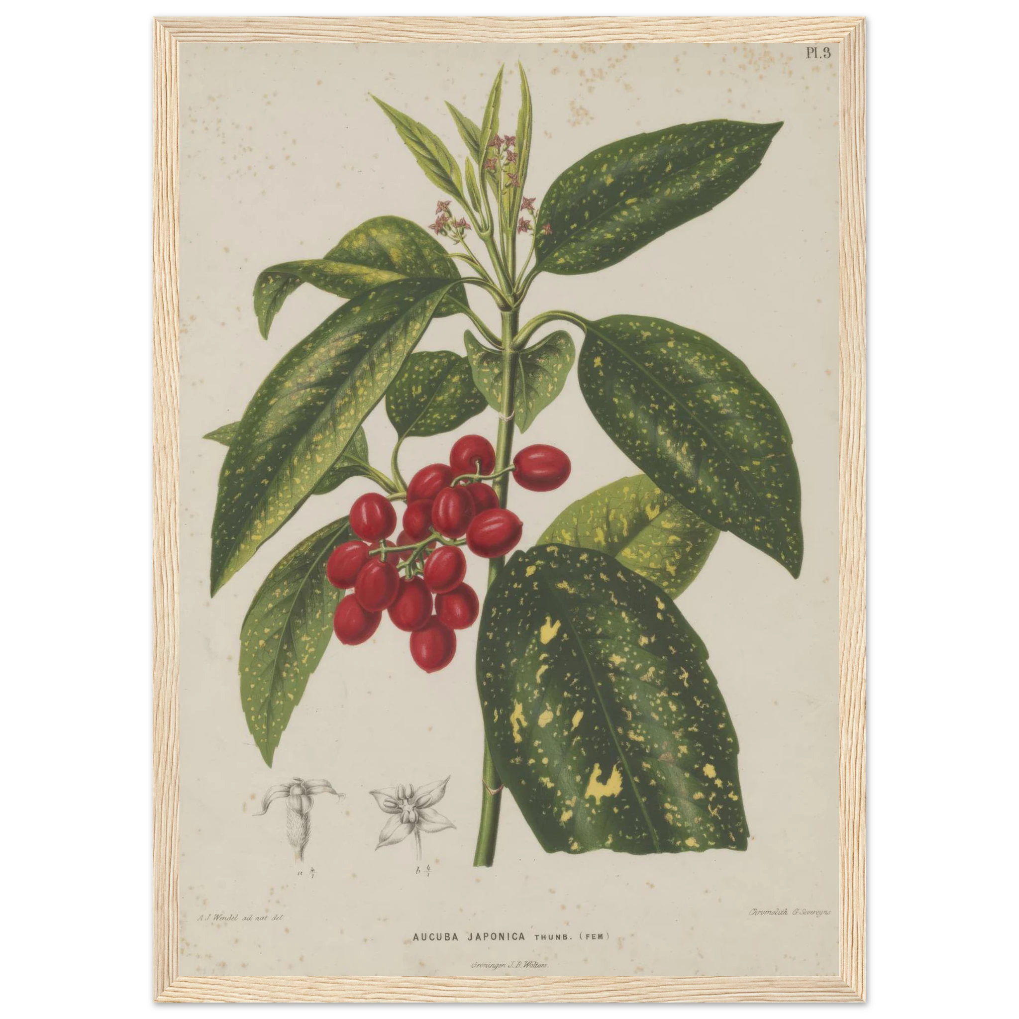 0ebd83fe-3edd-4f41-9815-f2656a2708fa