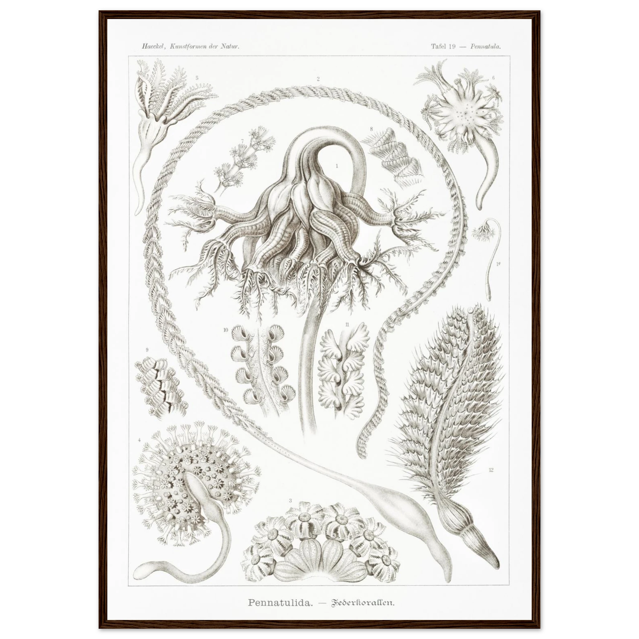 0ec3ca95-929e-48de-bc61-fb5bd964df92