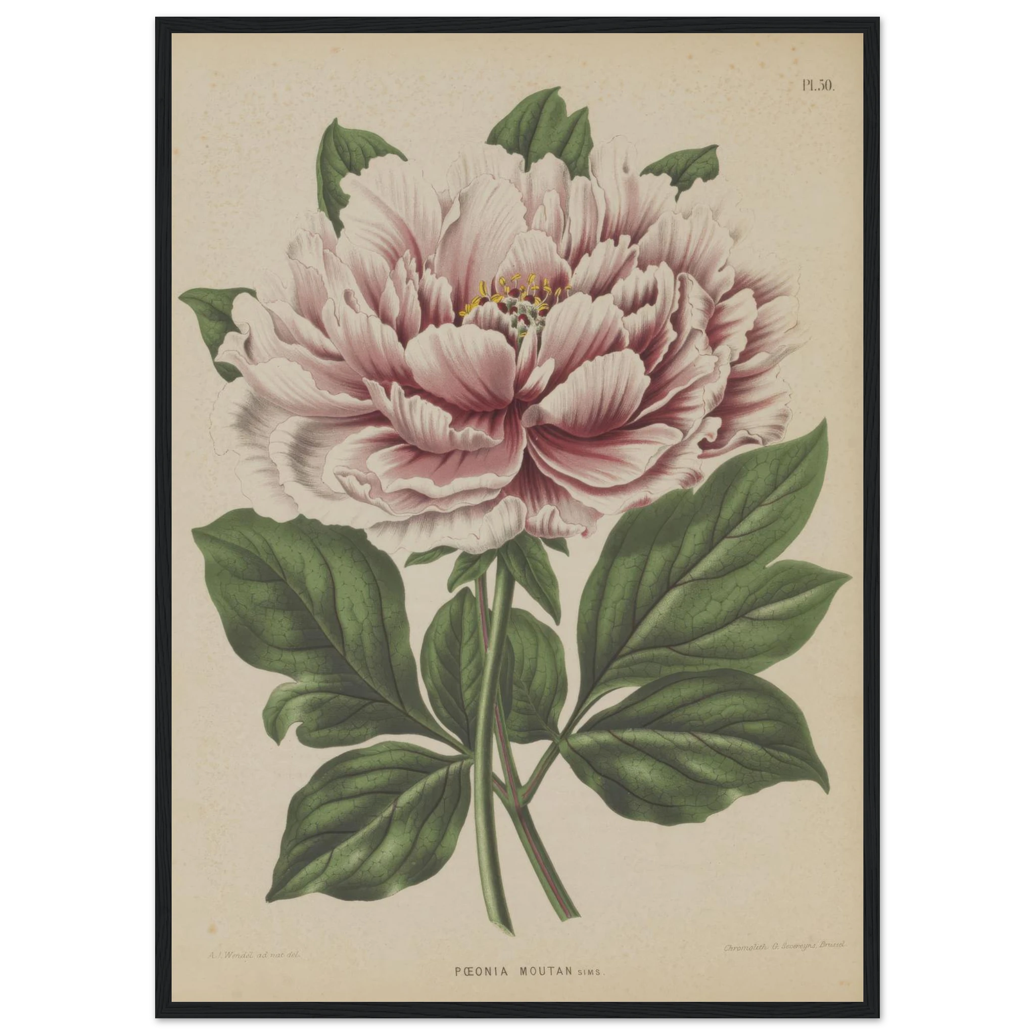 0ee31cff-6017-41b6-a919-a41a2e1b446a