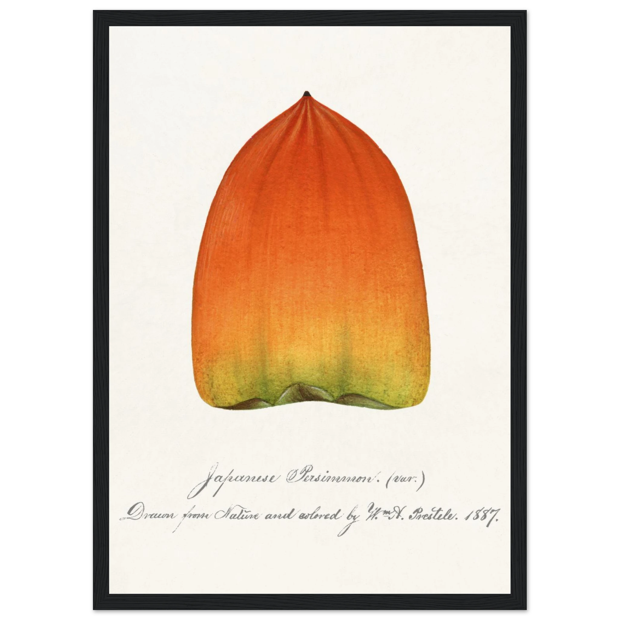 0f0bbe5a-01db-499b-92a0-3c9917364783