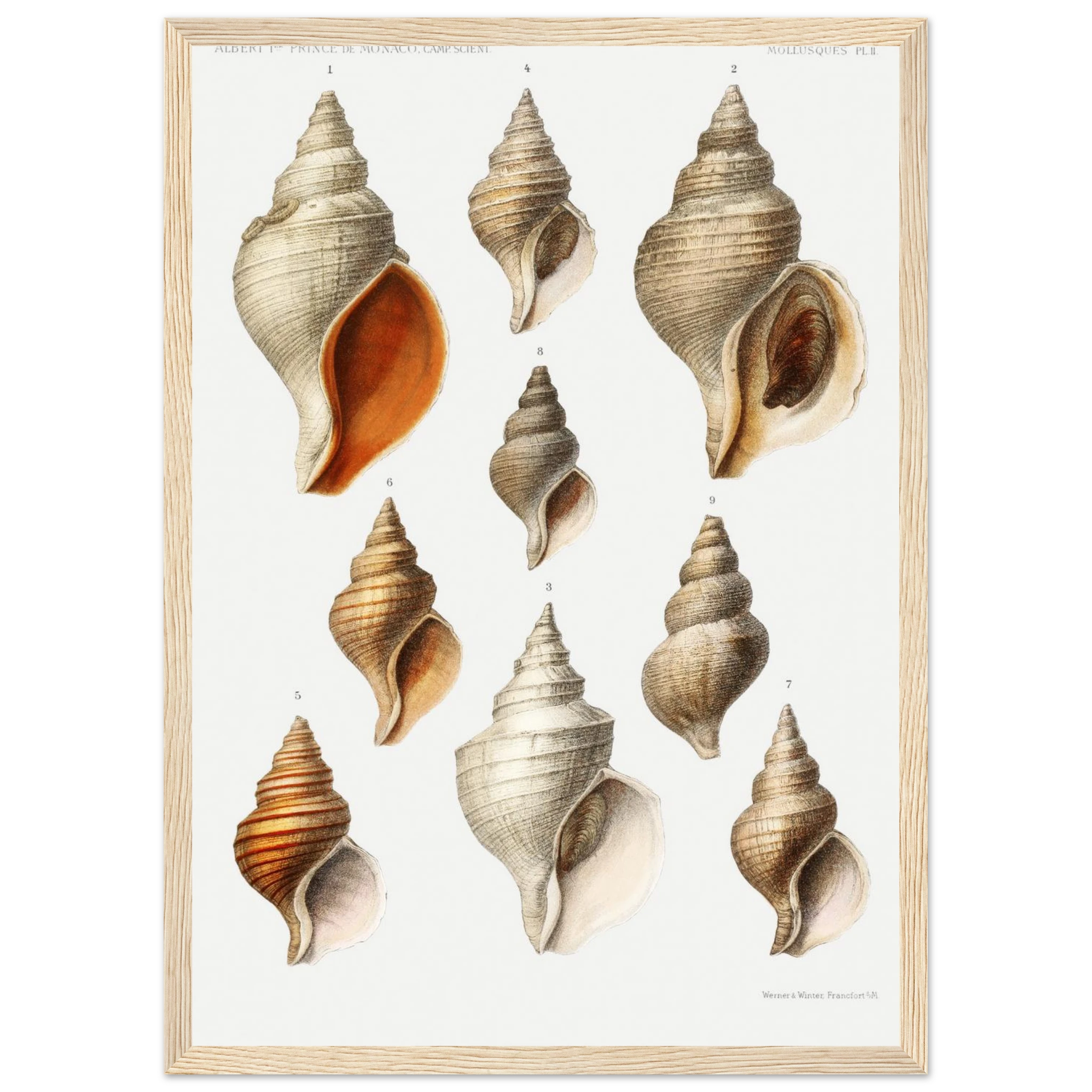 0facb961-4861-4c3e-a34e-5584697edf72