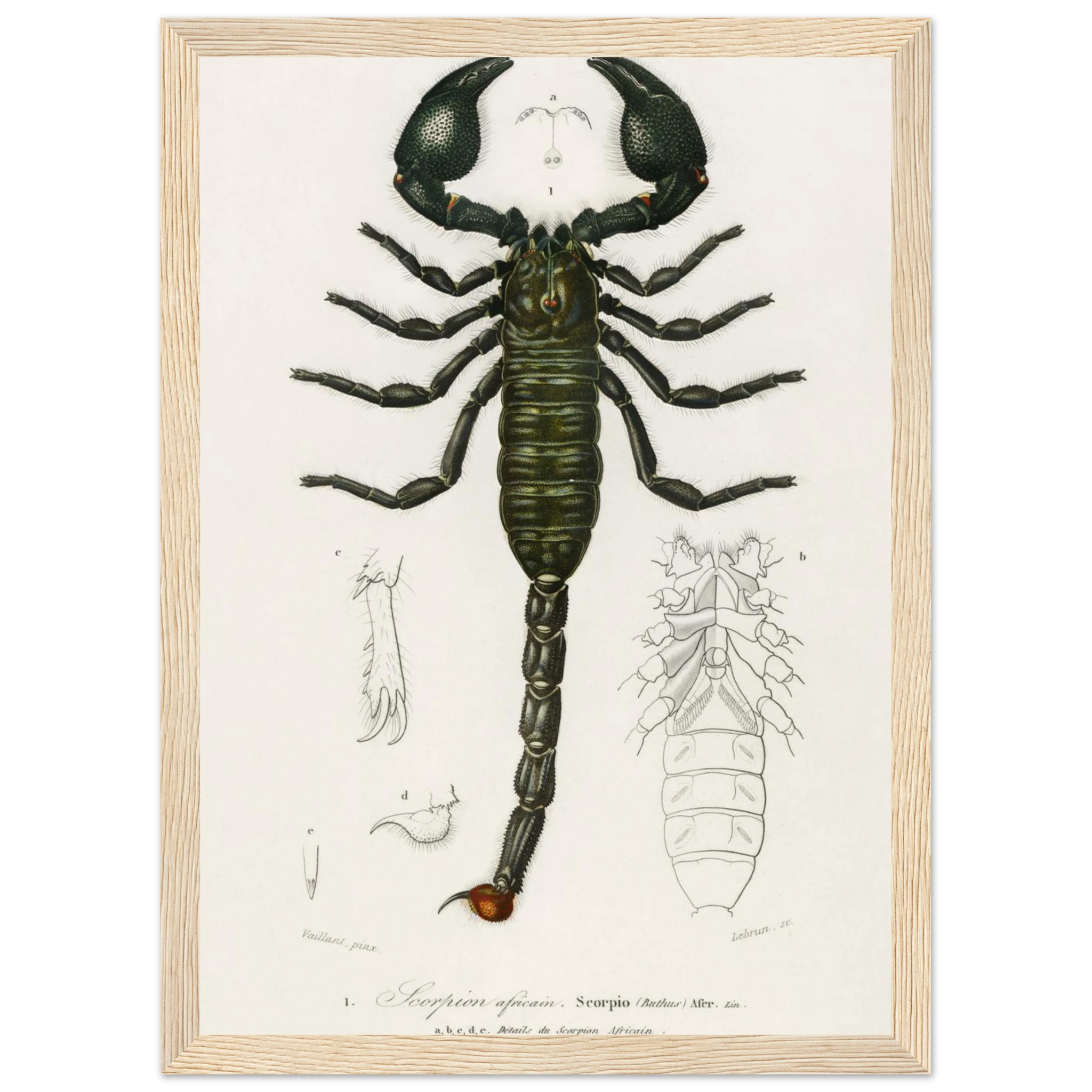 0fb0a2f0-edfe-43d2-aea9-1031ba8bdee4