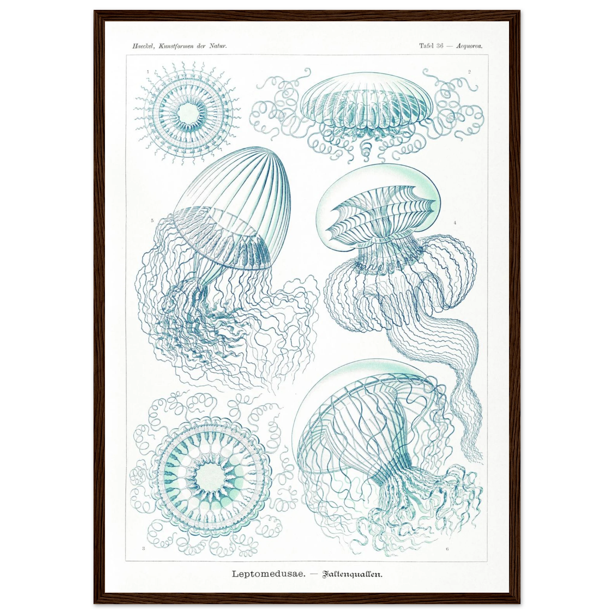 0fb2917a-da6c-431e-b445-c2d1534c9657