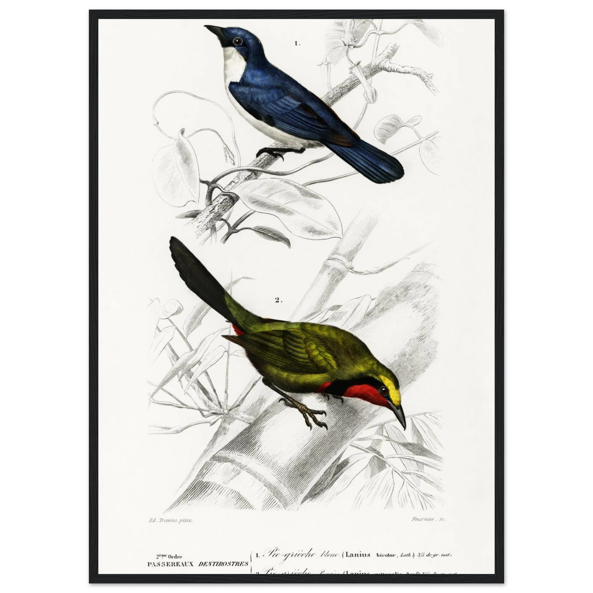 0fd81d11-78a3-4950-b4bc-7212db143340