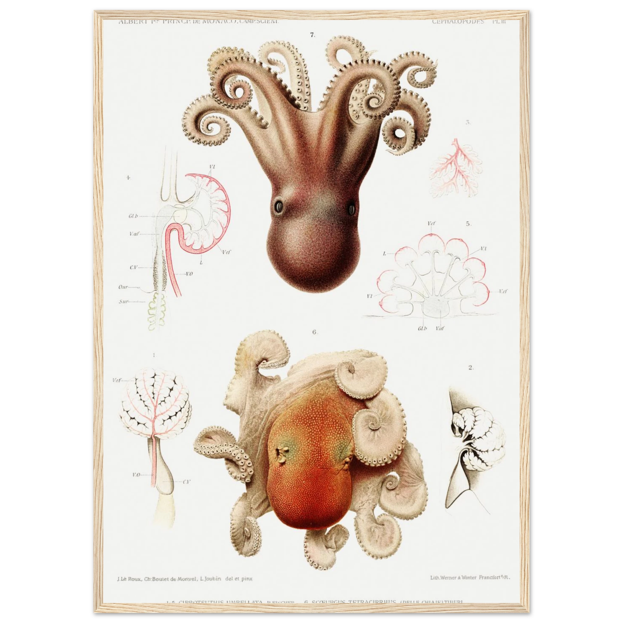 0fec14b9-5814-4eed-8367-e9bac5136dea