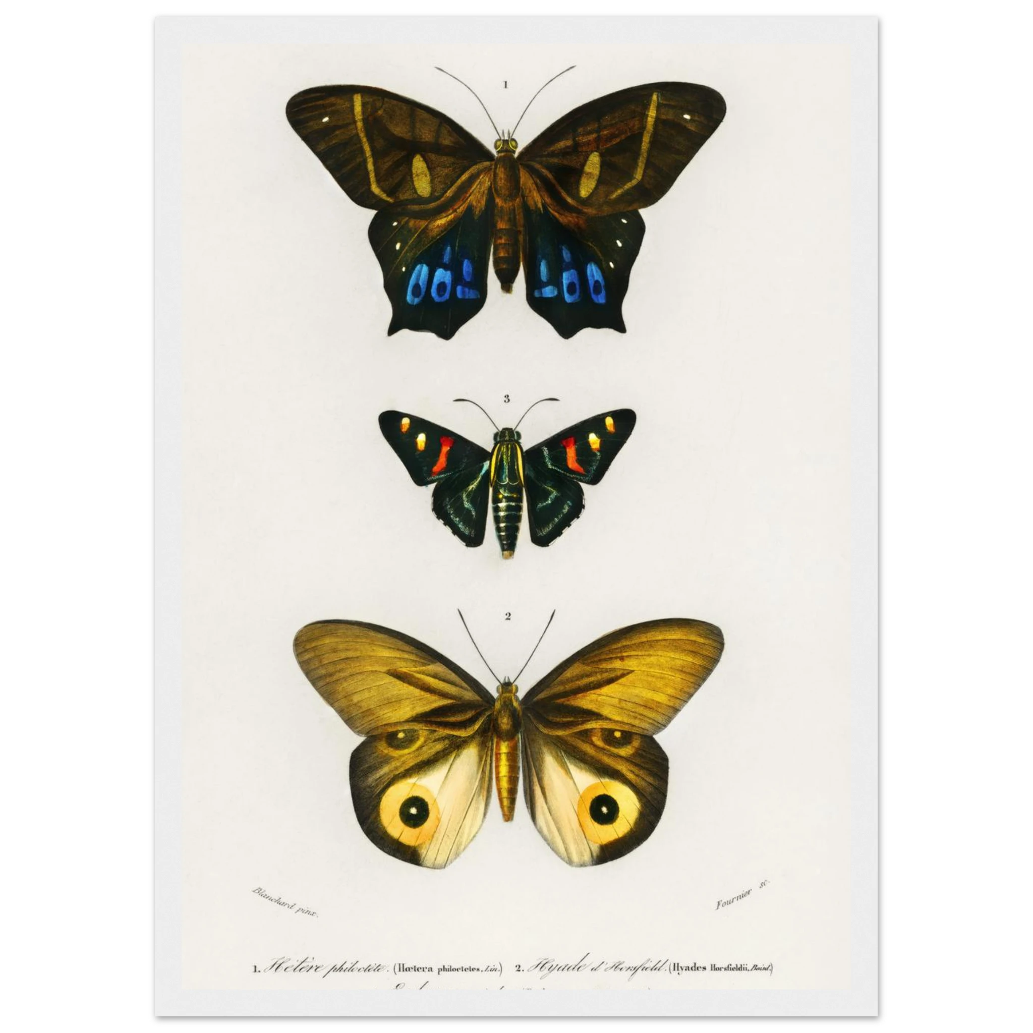 100ce23b-8532-4ea8-9e00-59286b45c6df