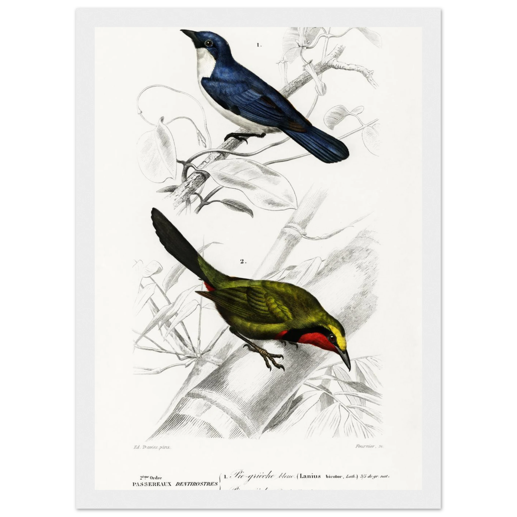 106803a0-3bc0-449c-b1c6-8b62d94ddd3a