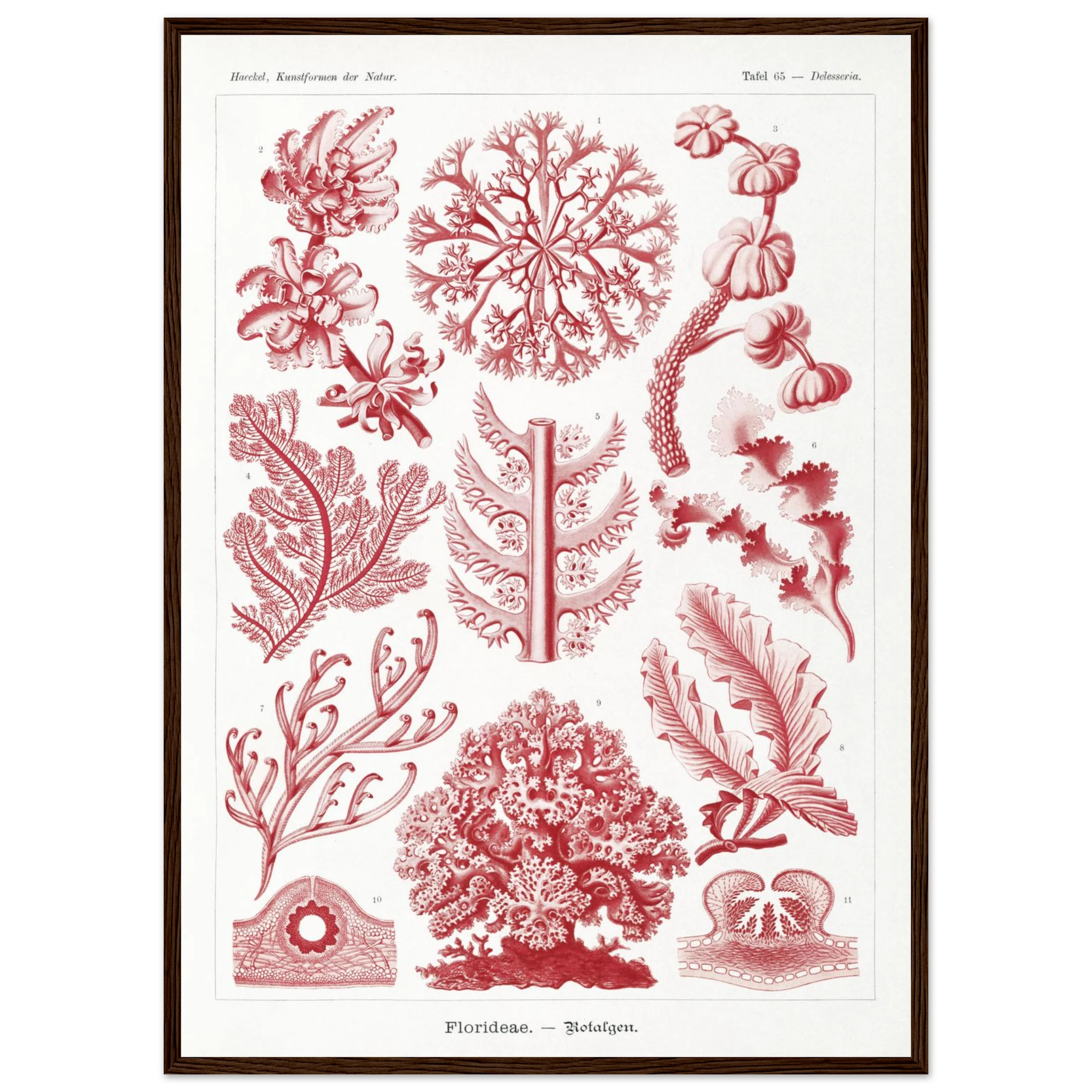 10742527-ad1e-4d13-80ee-44b56bb5ee6e