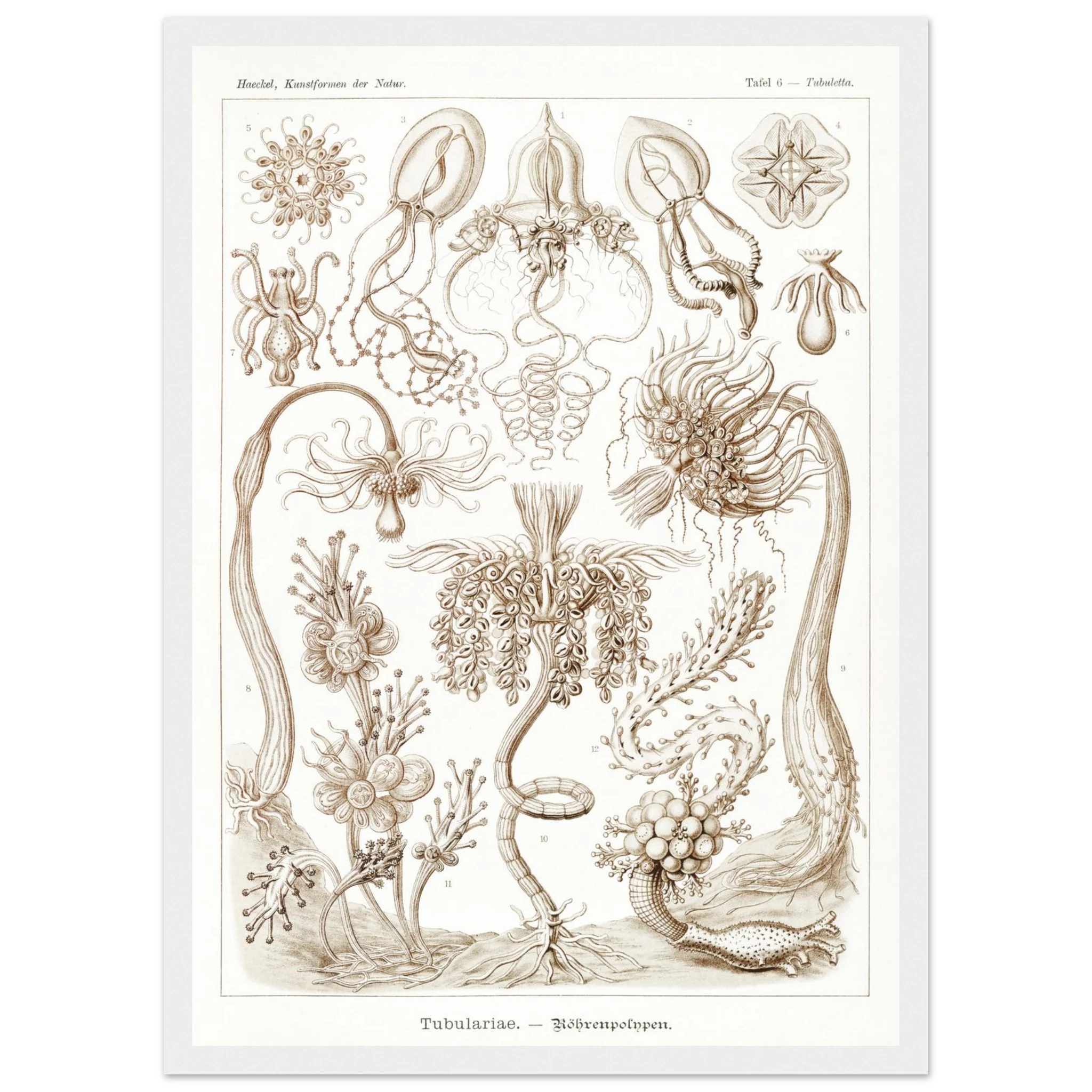 10ed30dc-4f4a-4011-ba9b-671fc4122670