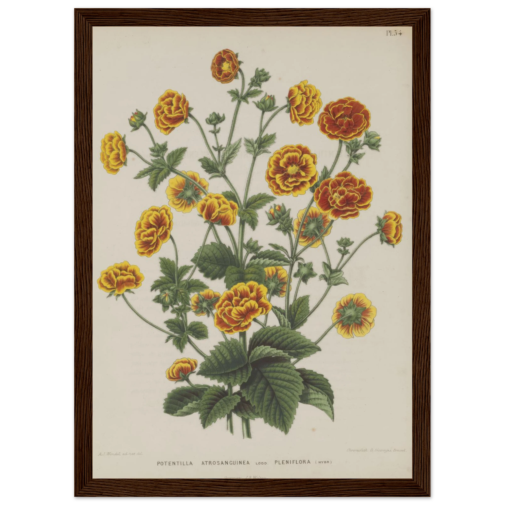 10fafe9f-1af8-4623-864c-72a55129000a