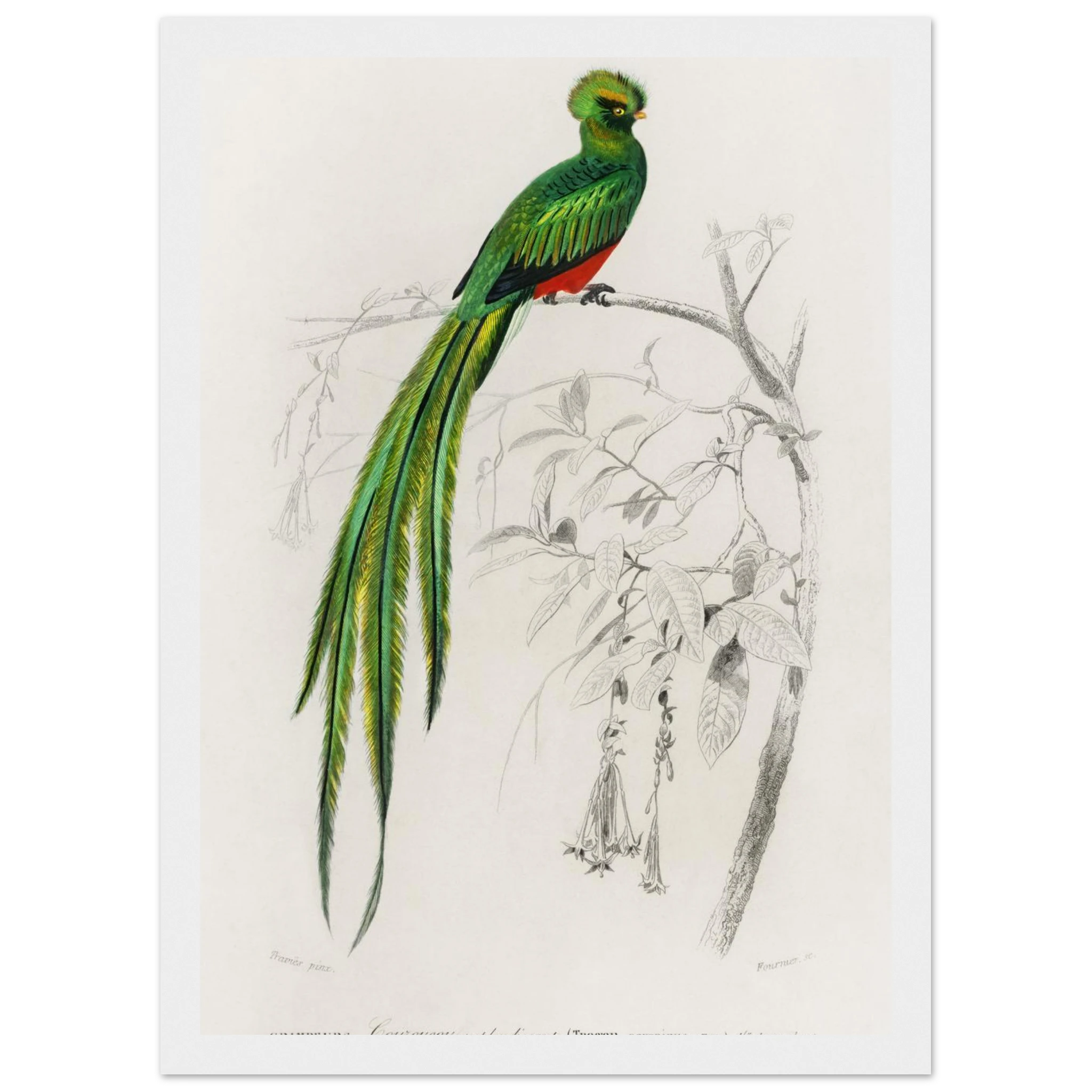 10fd7c6a-41f9-4176-b3f6-4ffe24ab493a