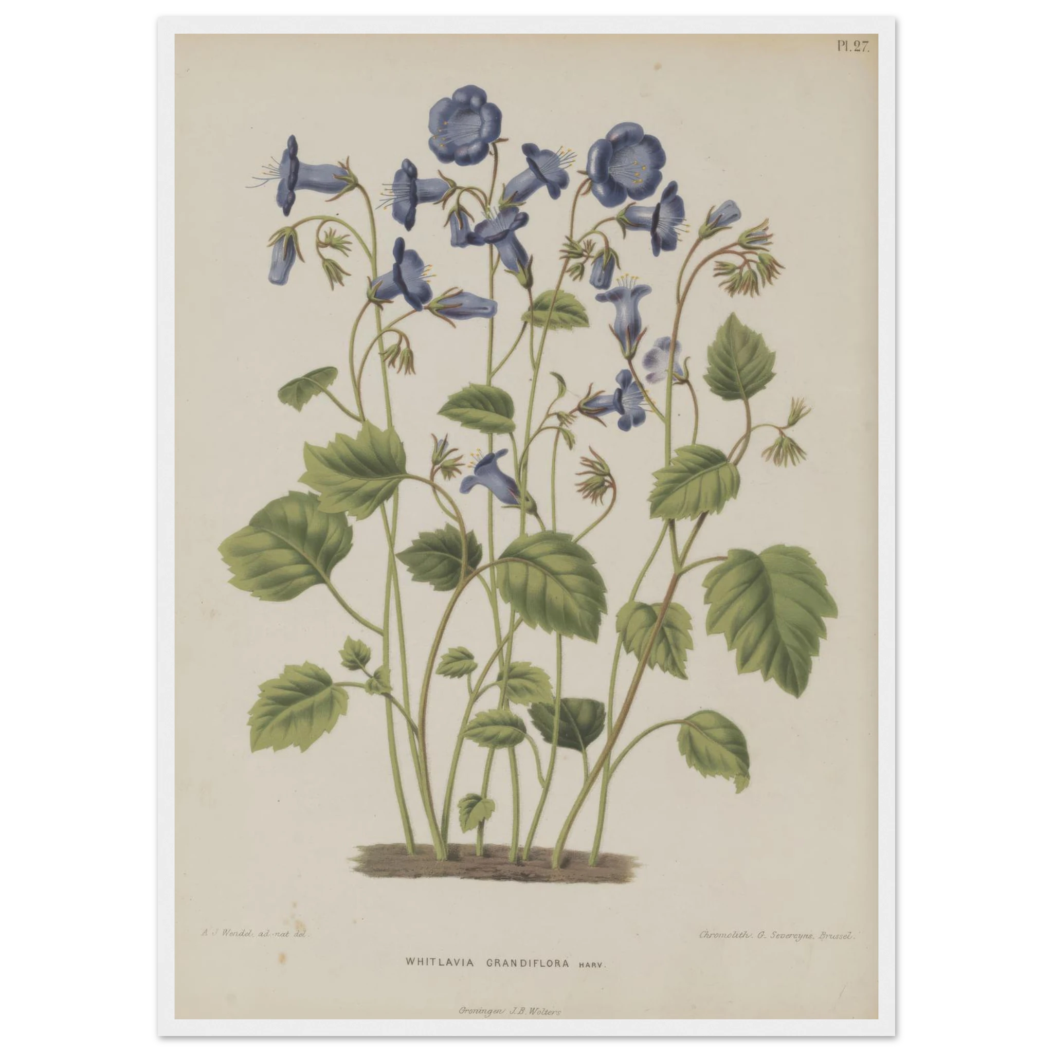 11047b8e-9748-4b18-8aa3-c8285407e948