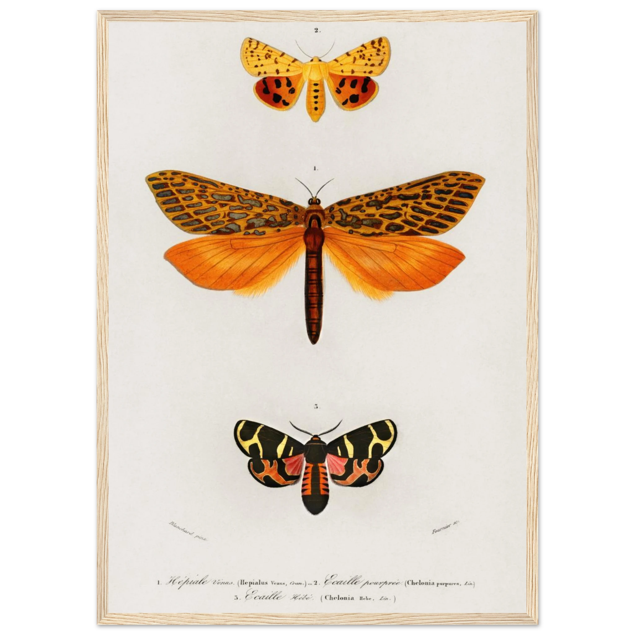 1107066e-b0b9-4ba6-875a-e52c278da53d