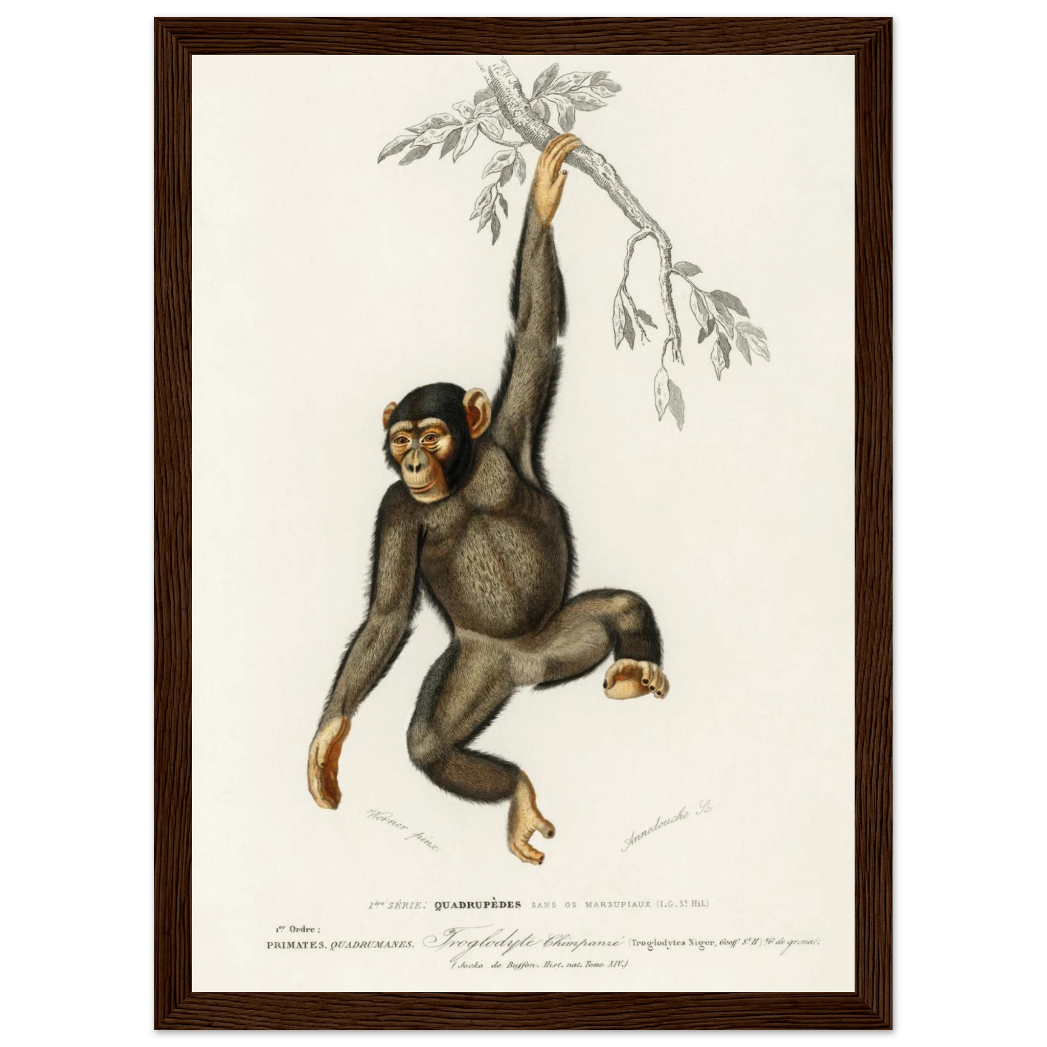 117586ef-2fa7-4a69-b033-433af3502cf8