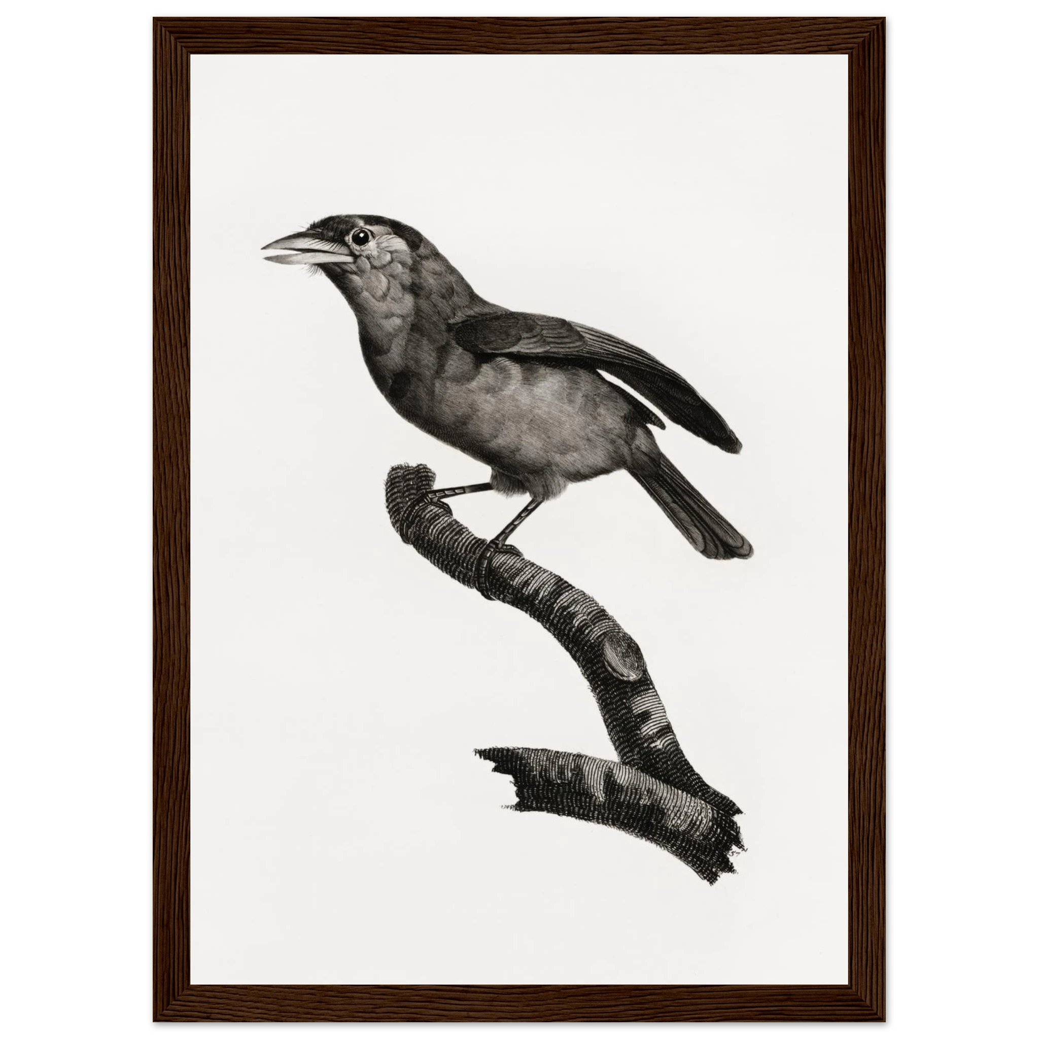 11bdb026-1ffc-4af5-8d46-fc8d55cb9e0a