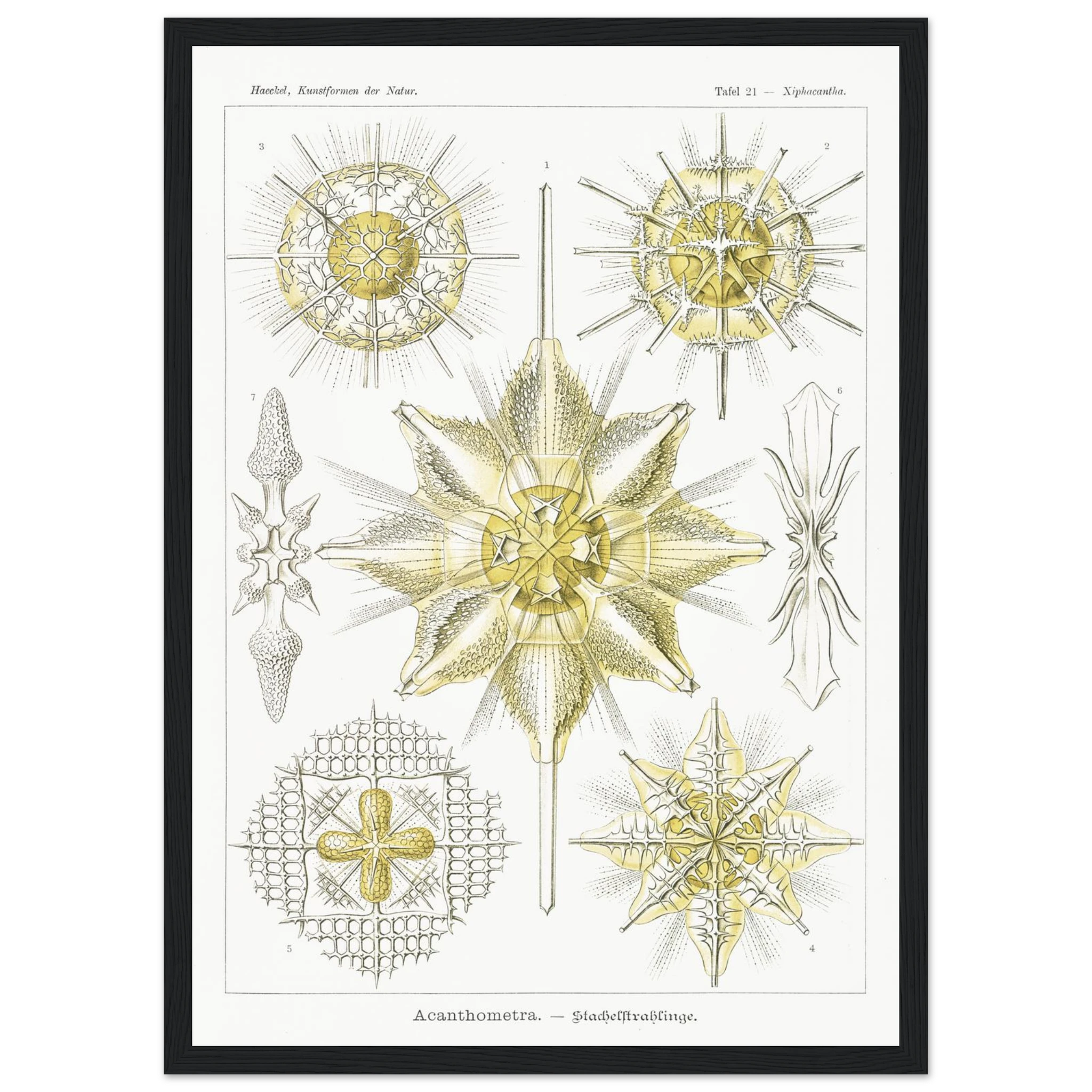 1250f9c4-6374-4a46-a36e-68ad150653b0