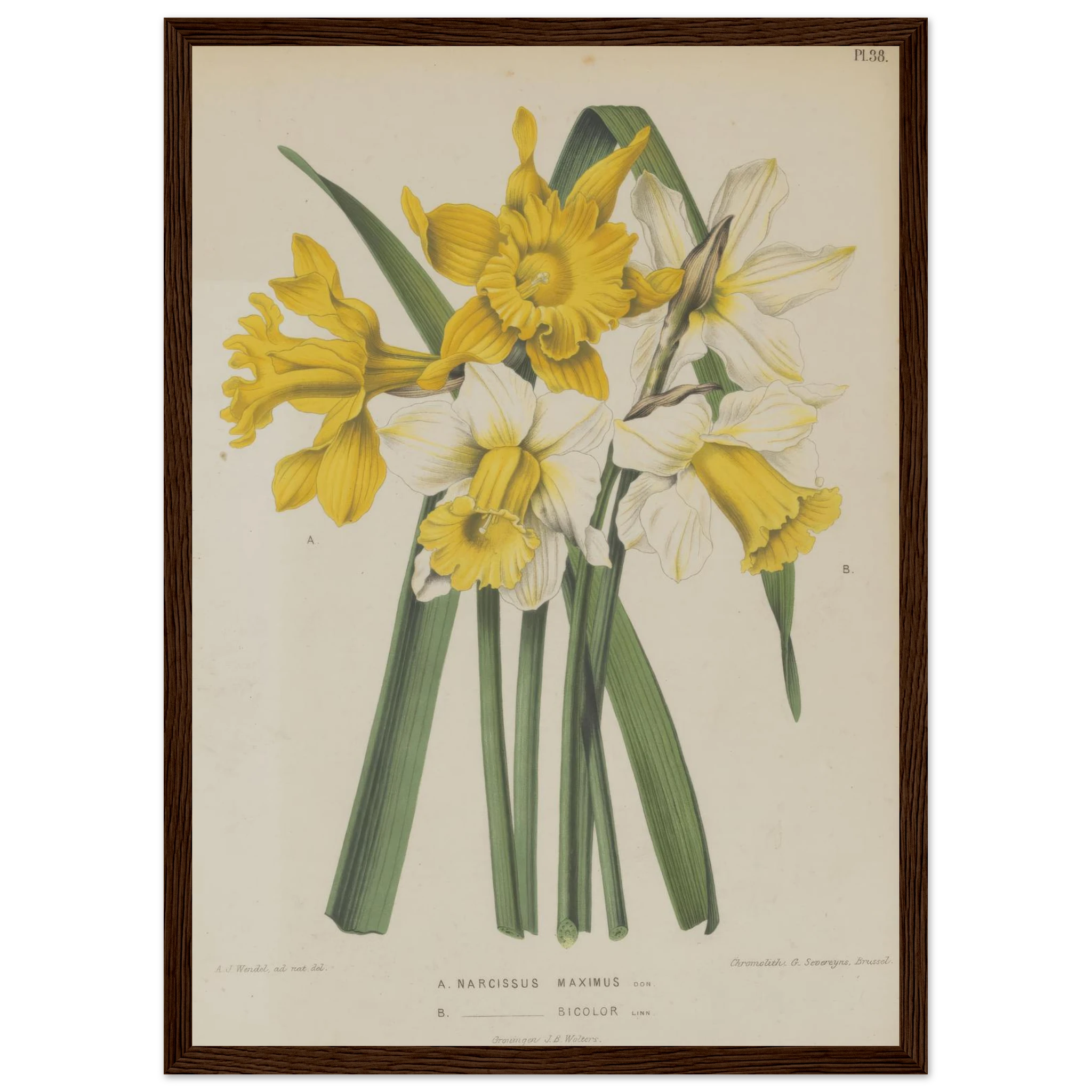 12bdd41a-cdfc-401b-a9c6-5651e6e0f1a2