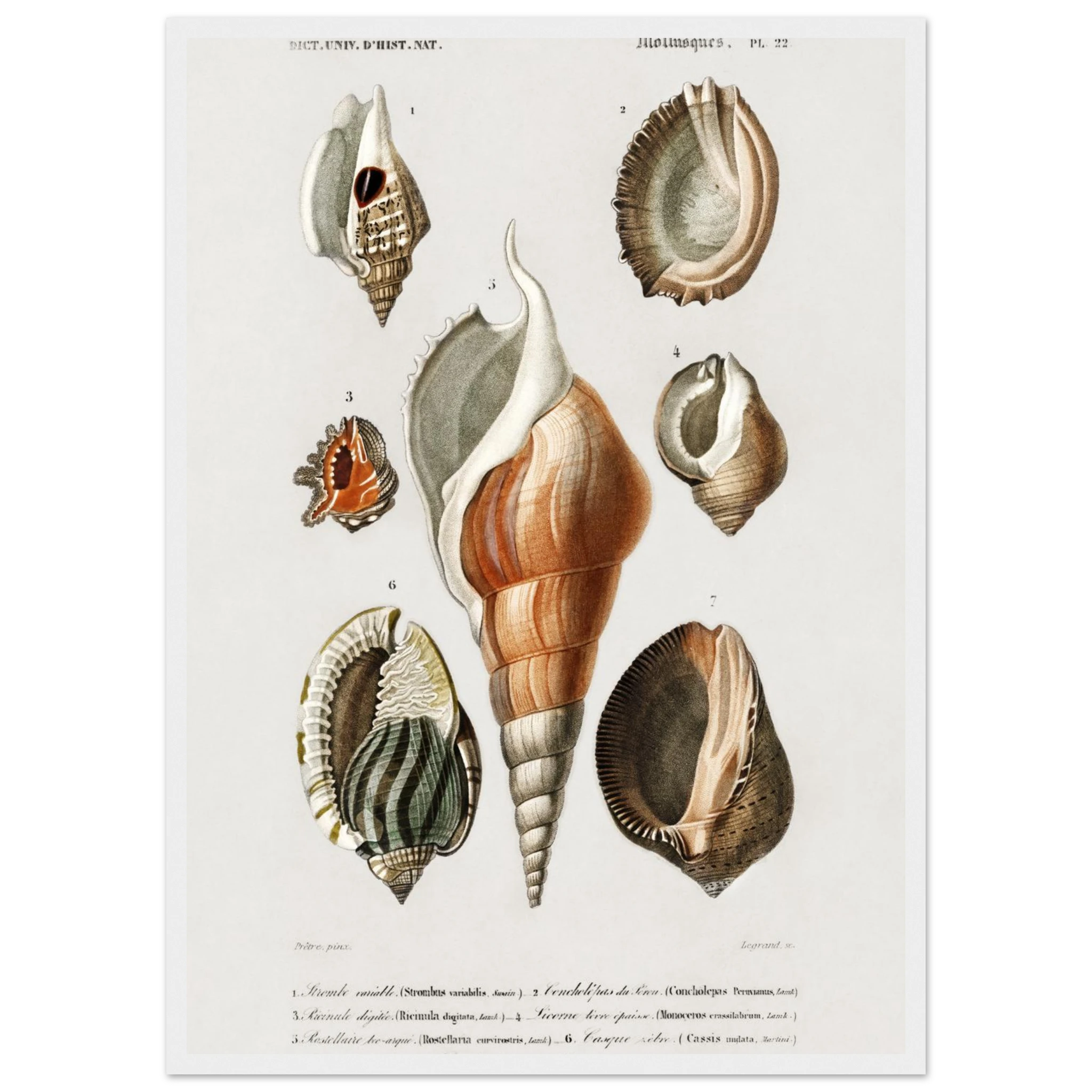 12d08f3e-8f39-4c0c-b43c-a4d330917730