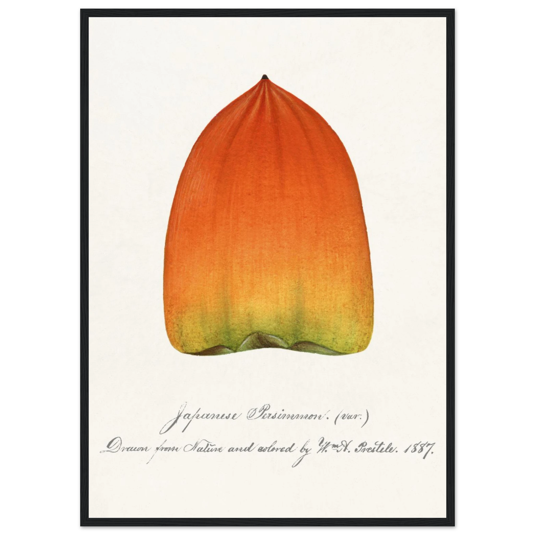 12ea8258-5db4-4acc-ad58-62e5b0935e4a