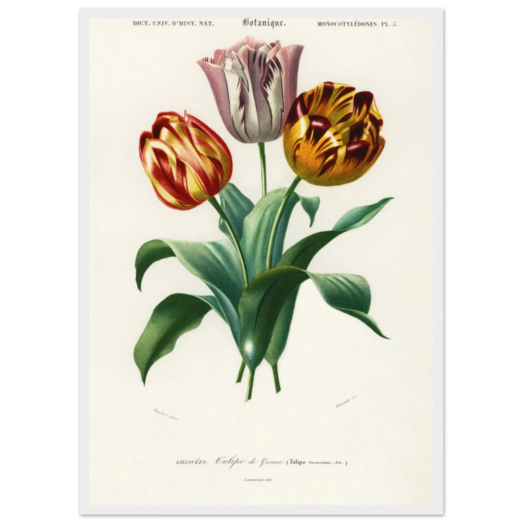 132261b0-bf34-47e3-b20a-34f7e2f3f4a3