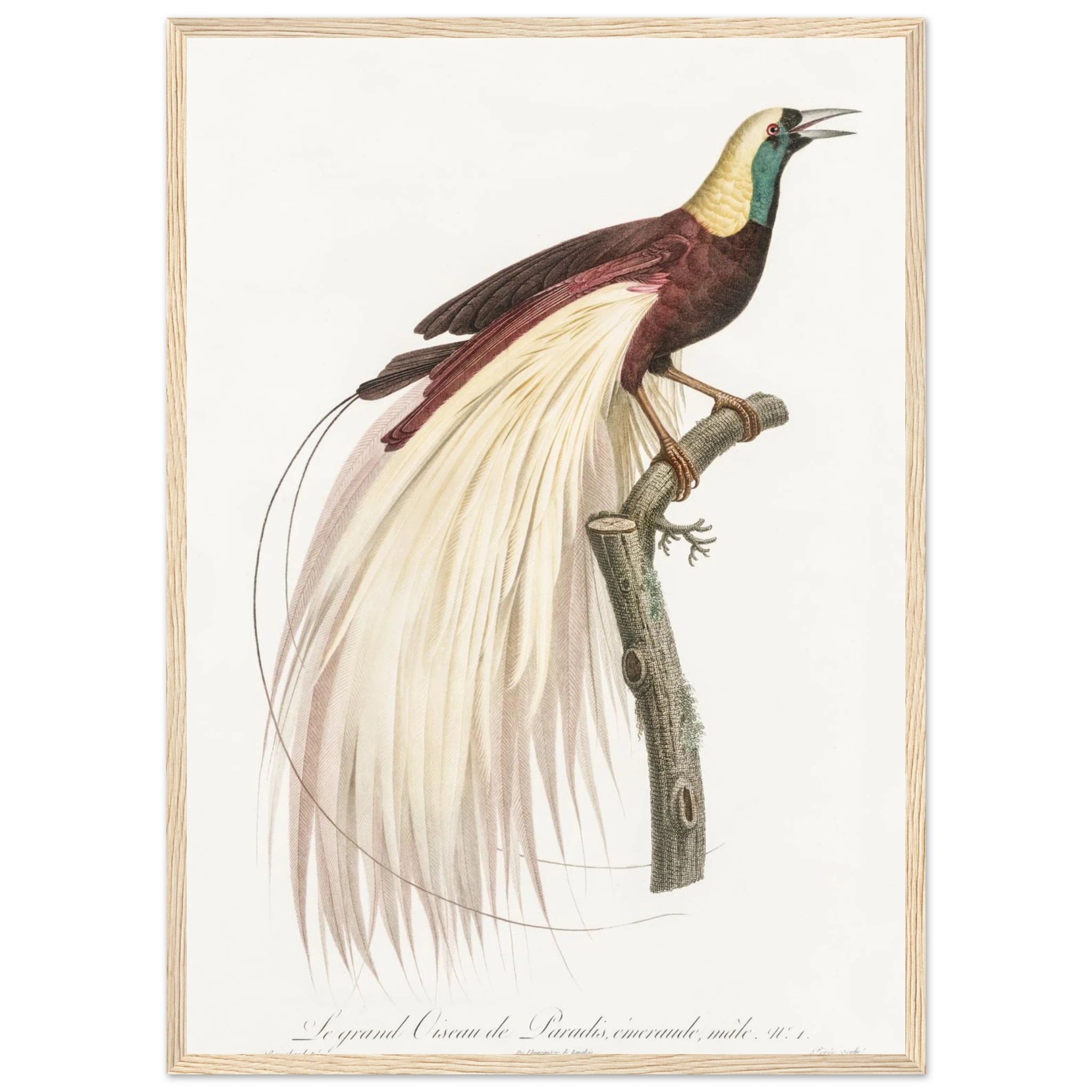 13b4c825-ba00-4c1d-8d91-7aaa770f4cf2