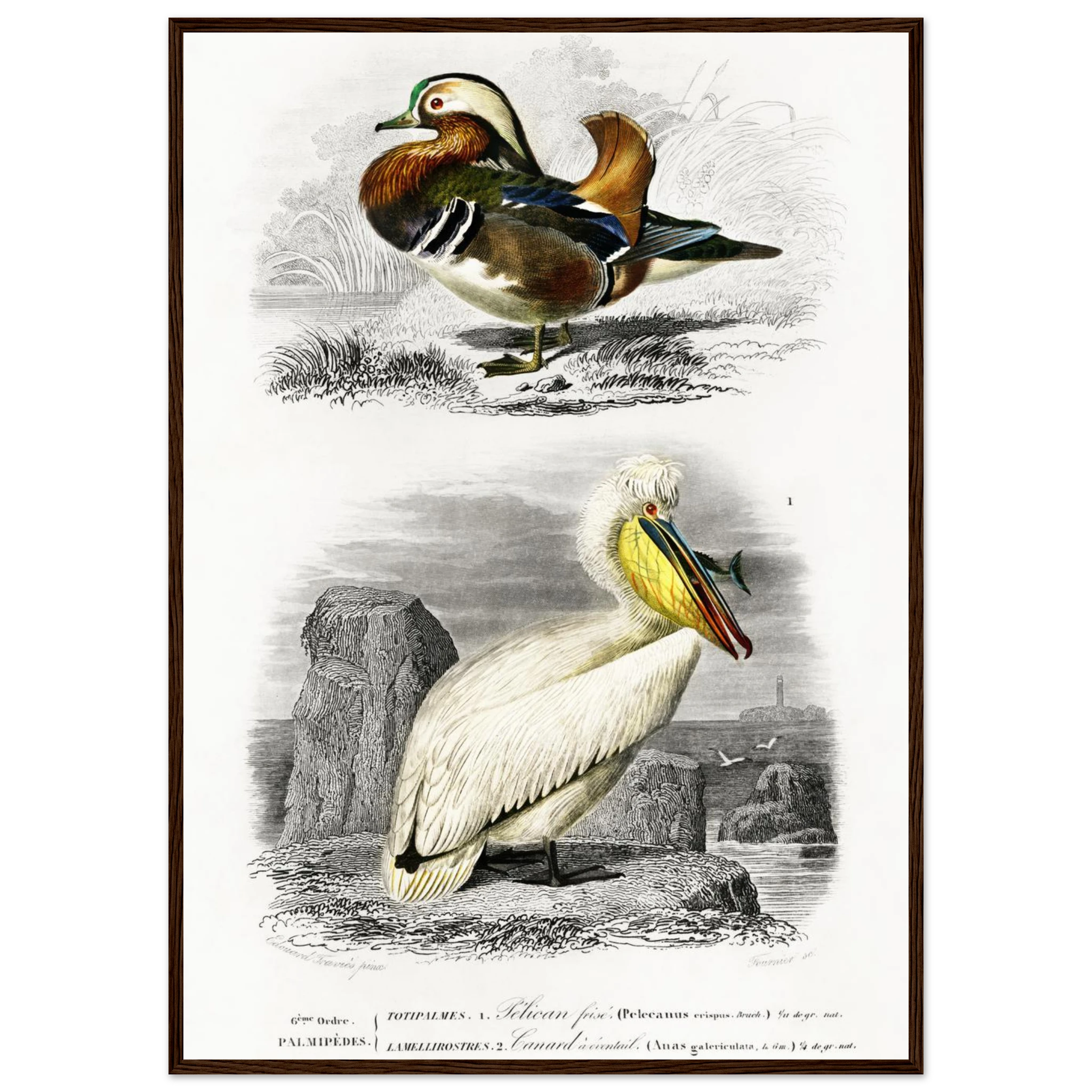 13ef9009-4aaa-4b2d-a559-b34e9d5349ce