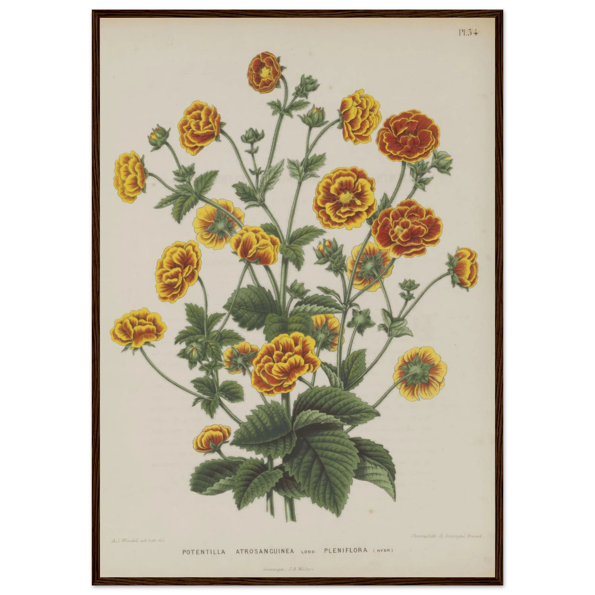 147399d1-c453-4ad3-8751-e5e856982fc7