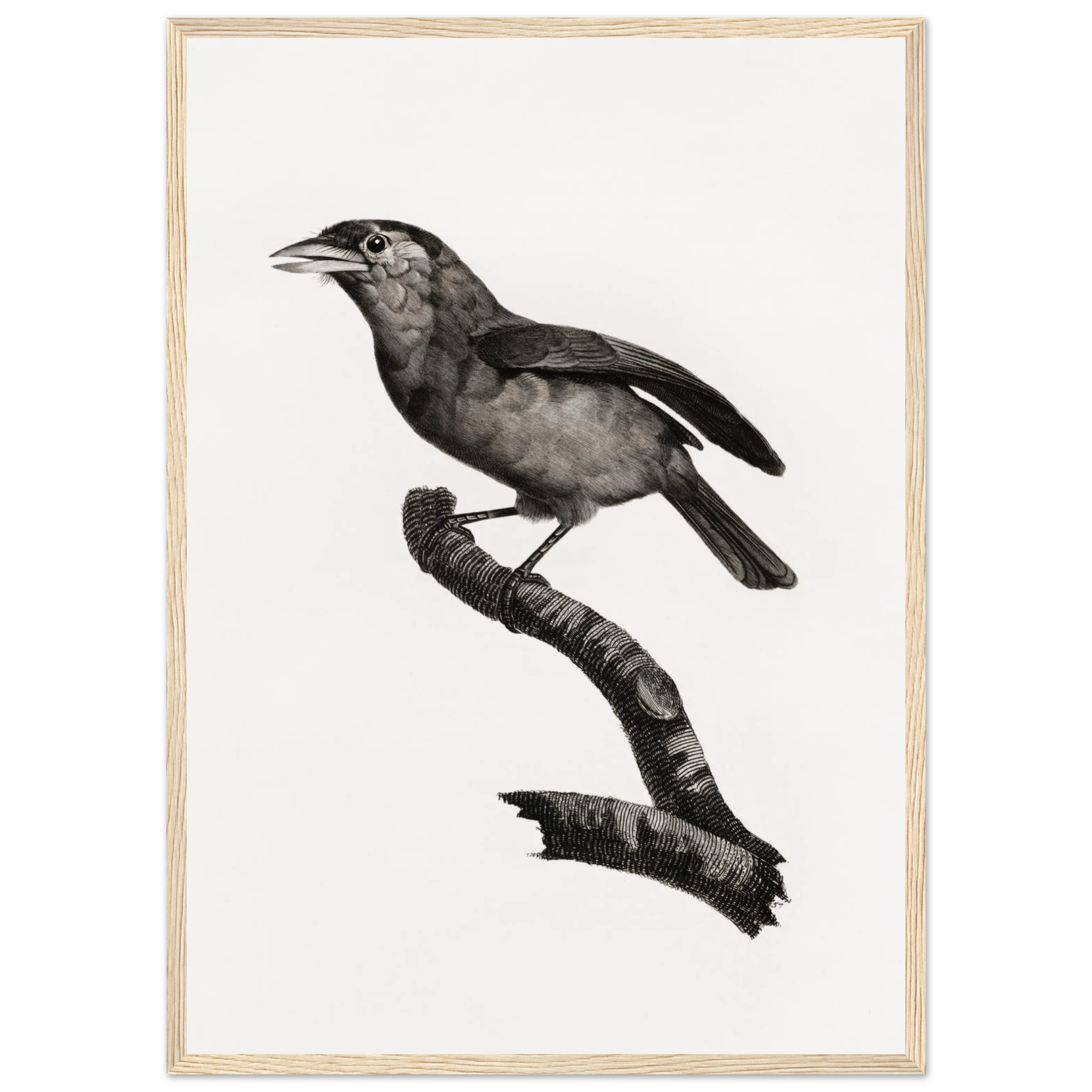 1486364a-8c81-4f0b-8bb2-e6efbcd3d6bb